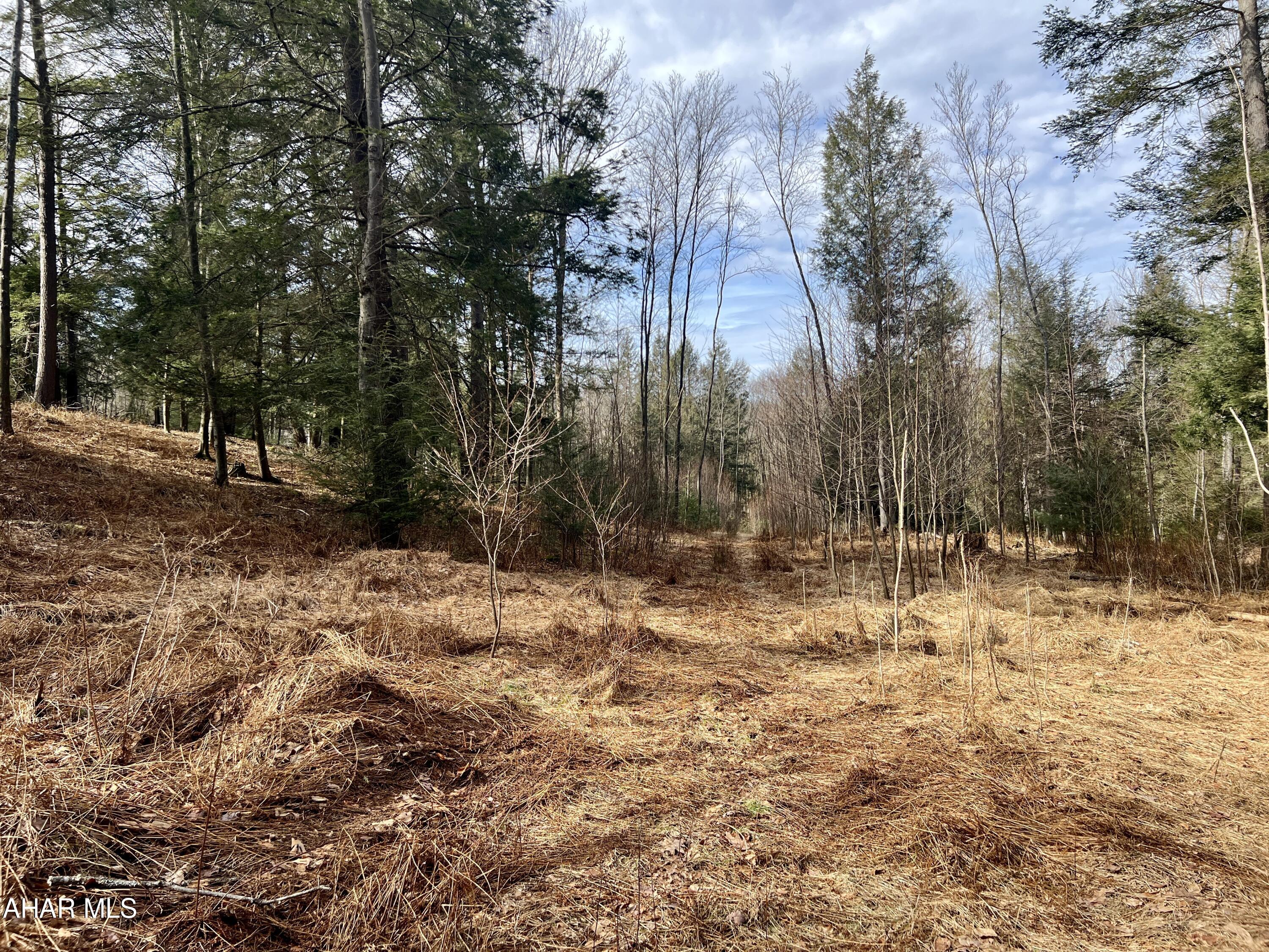 None - Commercial Sale