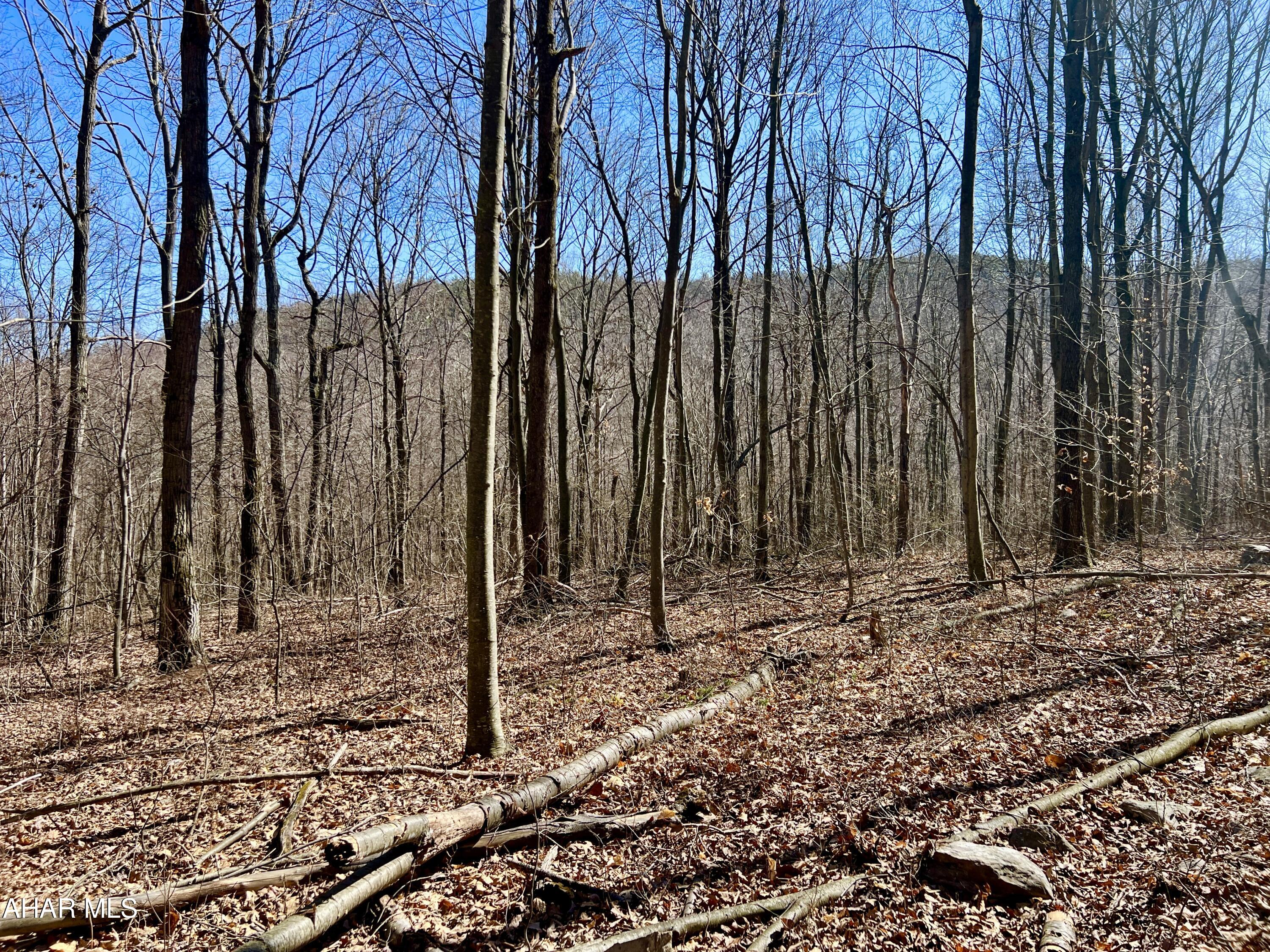 None - Commercial Sale