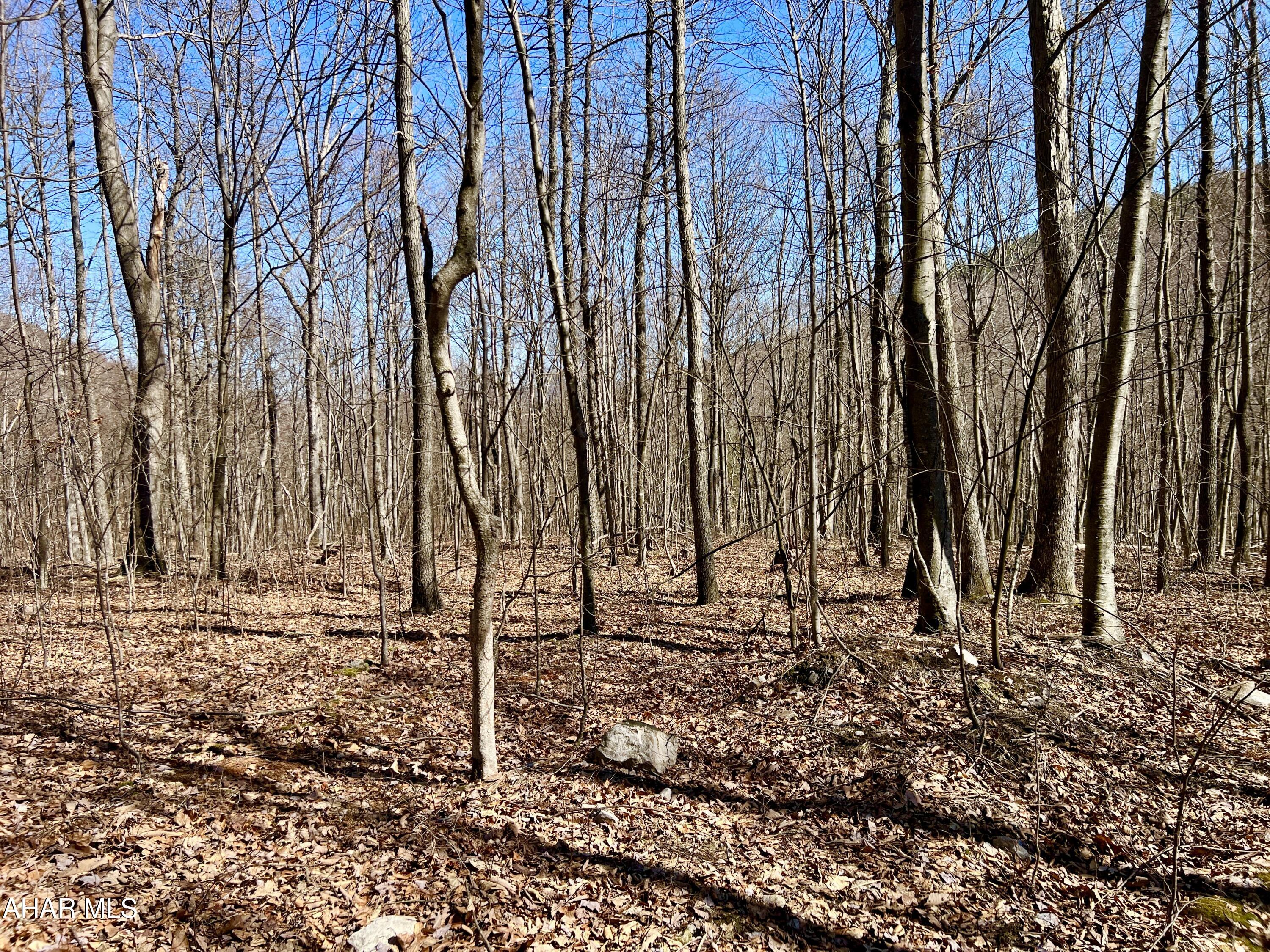 None - Commercial Sale