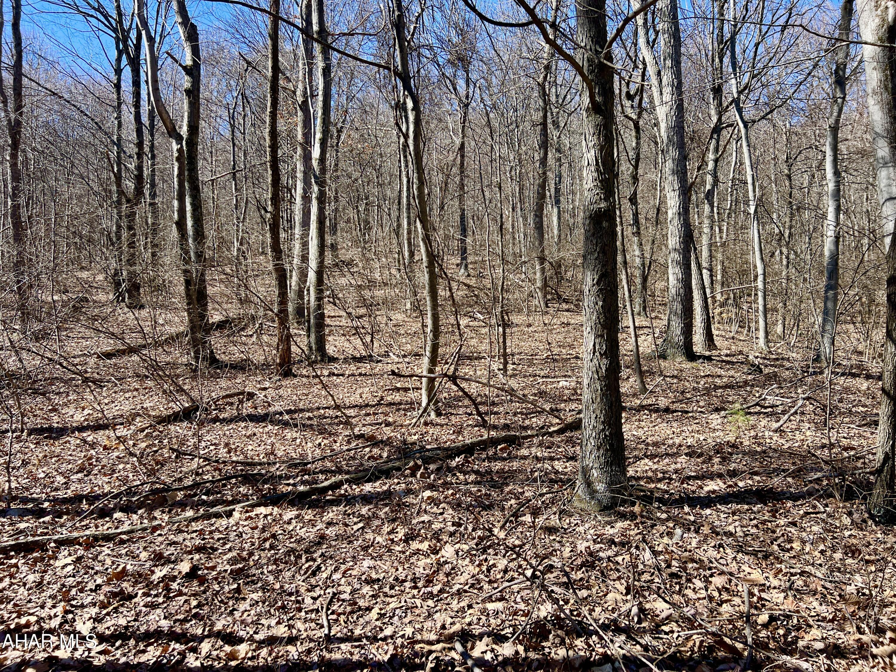 None - Commercial Sale