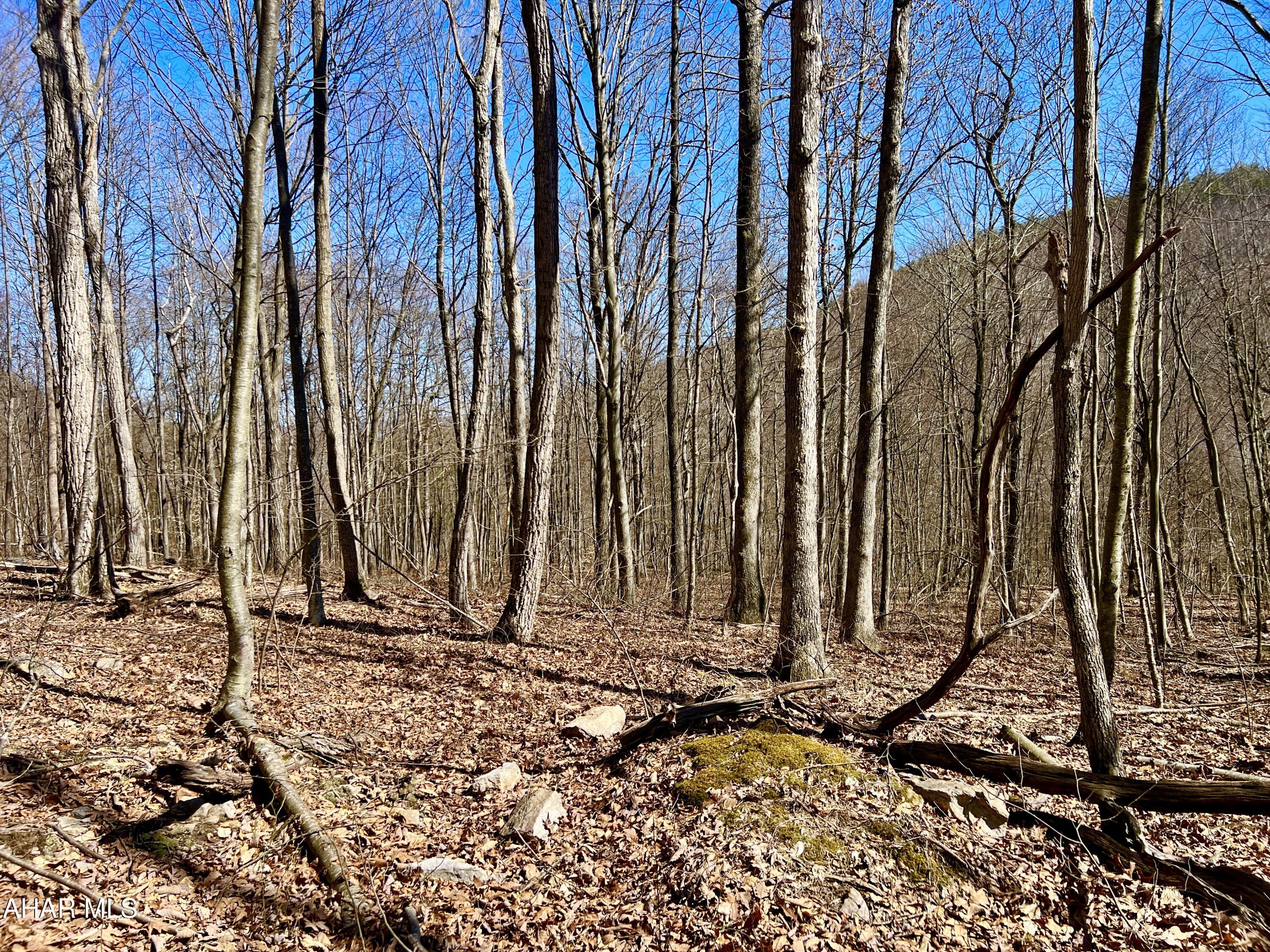 None - Commercial Sale