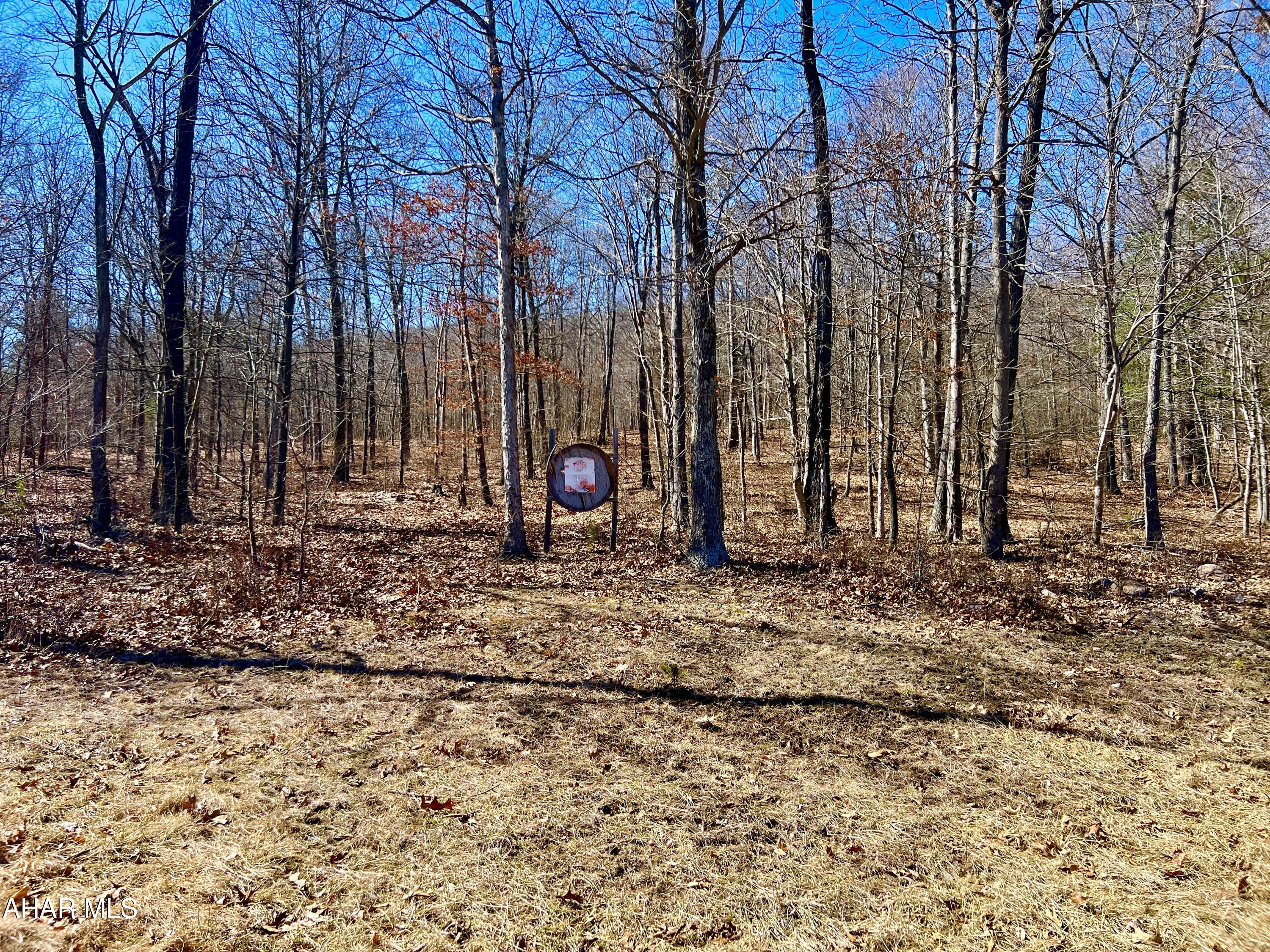 None - Commercial Sale