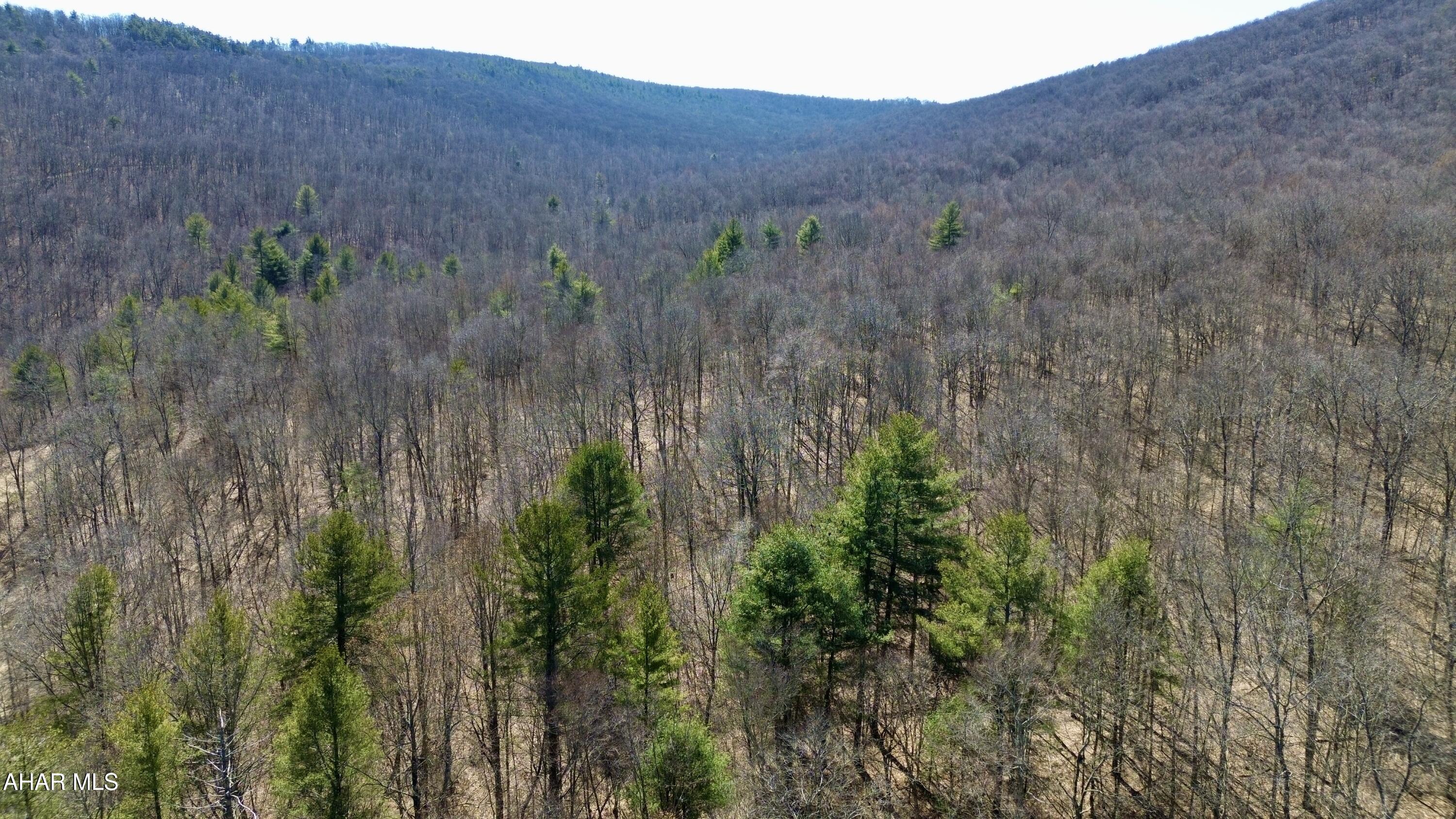 None - Commercial Sale