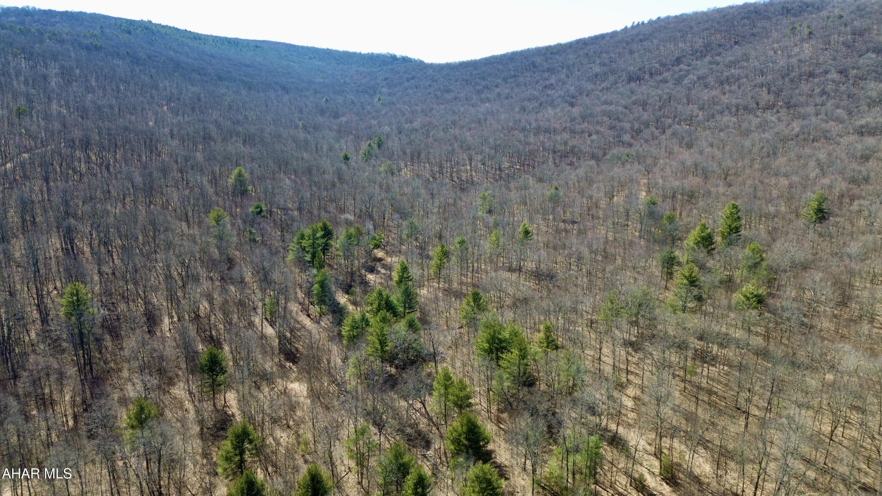 None - Commercial Sale