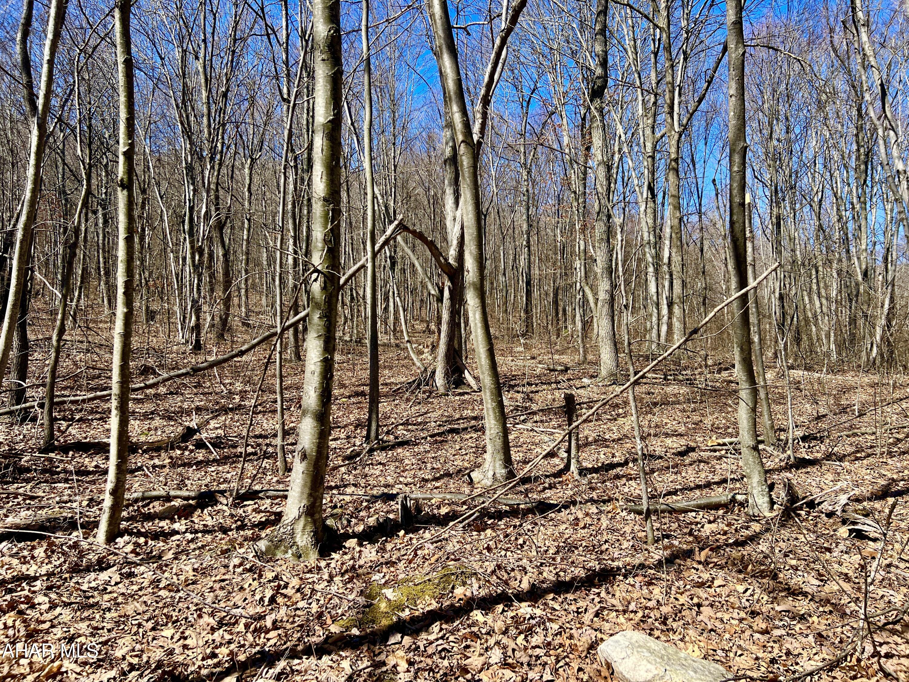 None - Commercial Sale