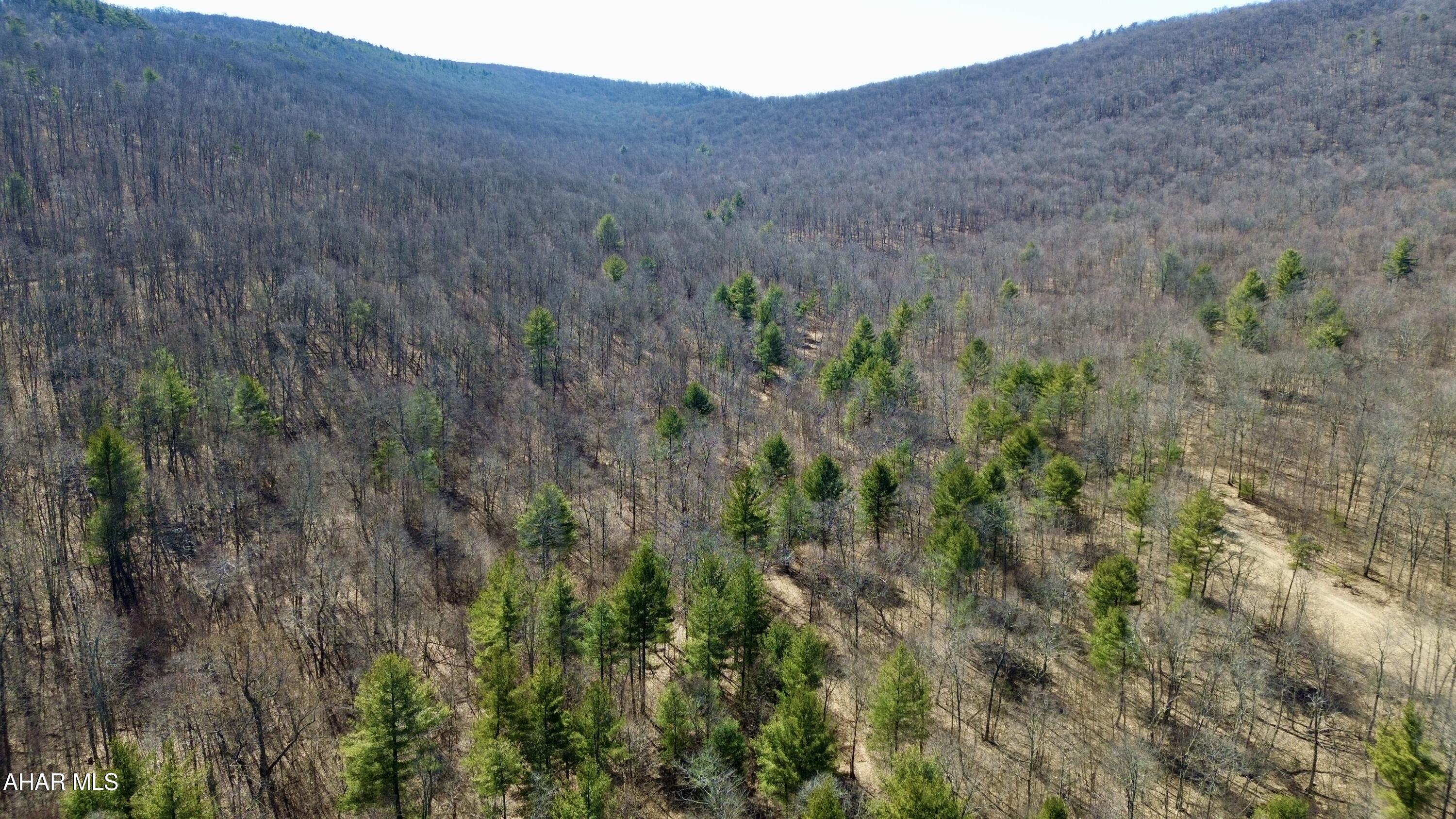 None - Commercial Sale