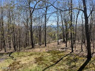 Art Museum Area - Residential