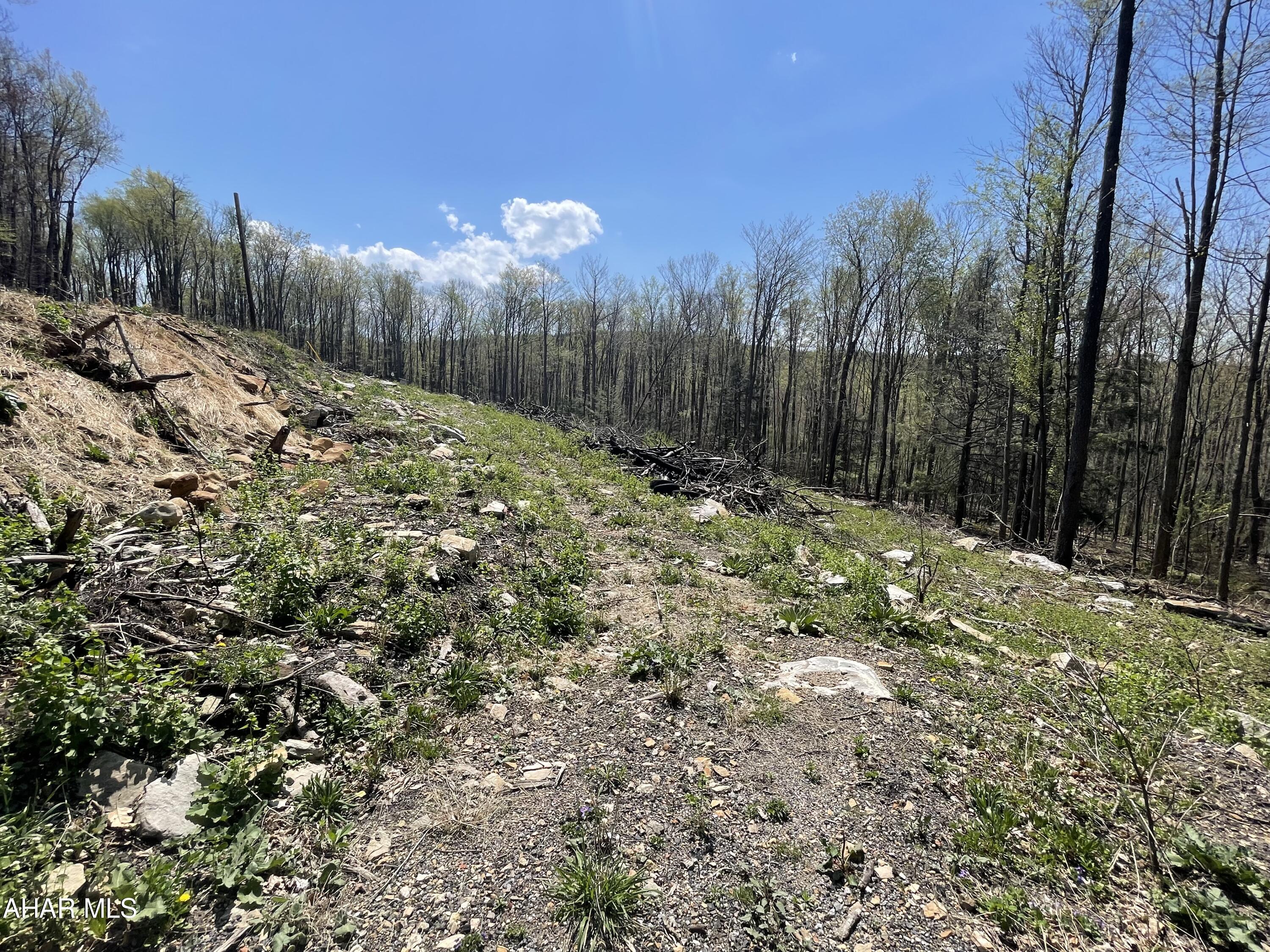 None - Commercial Sale