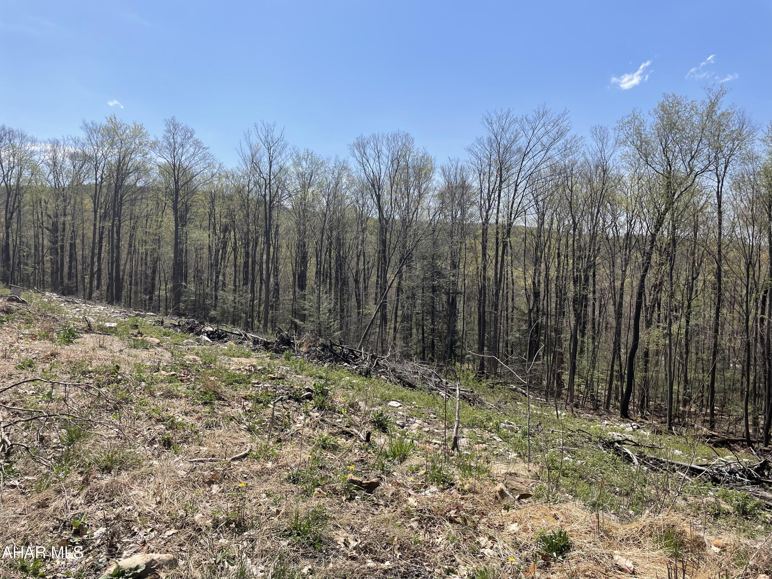 None - Commercial Sale