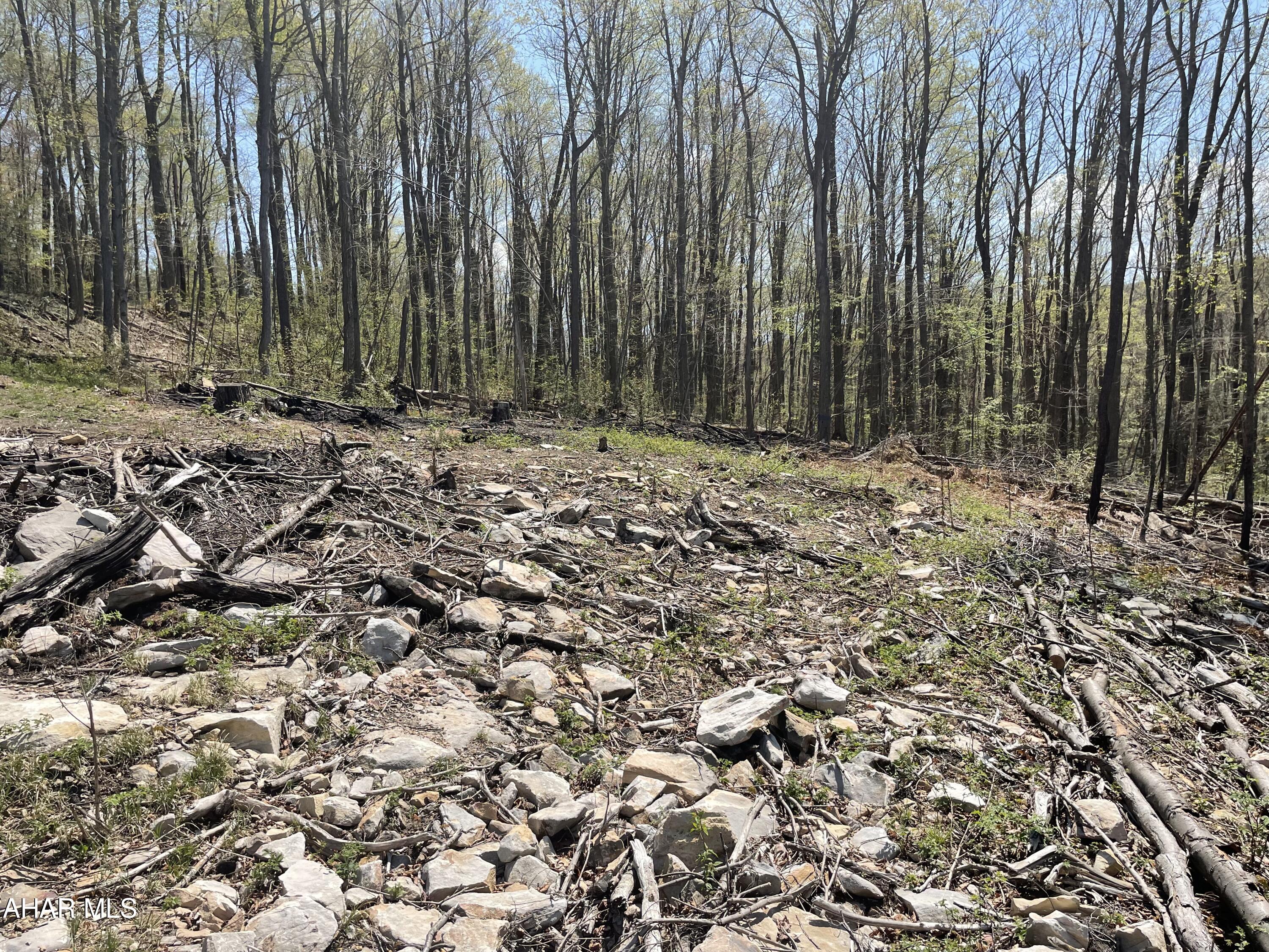 None - Commercial Sale