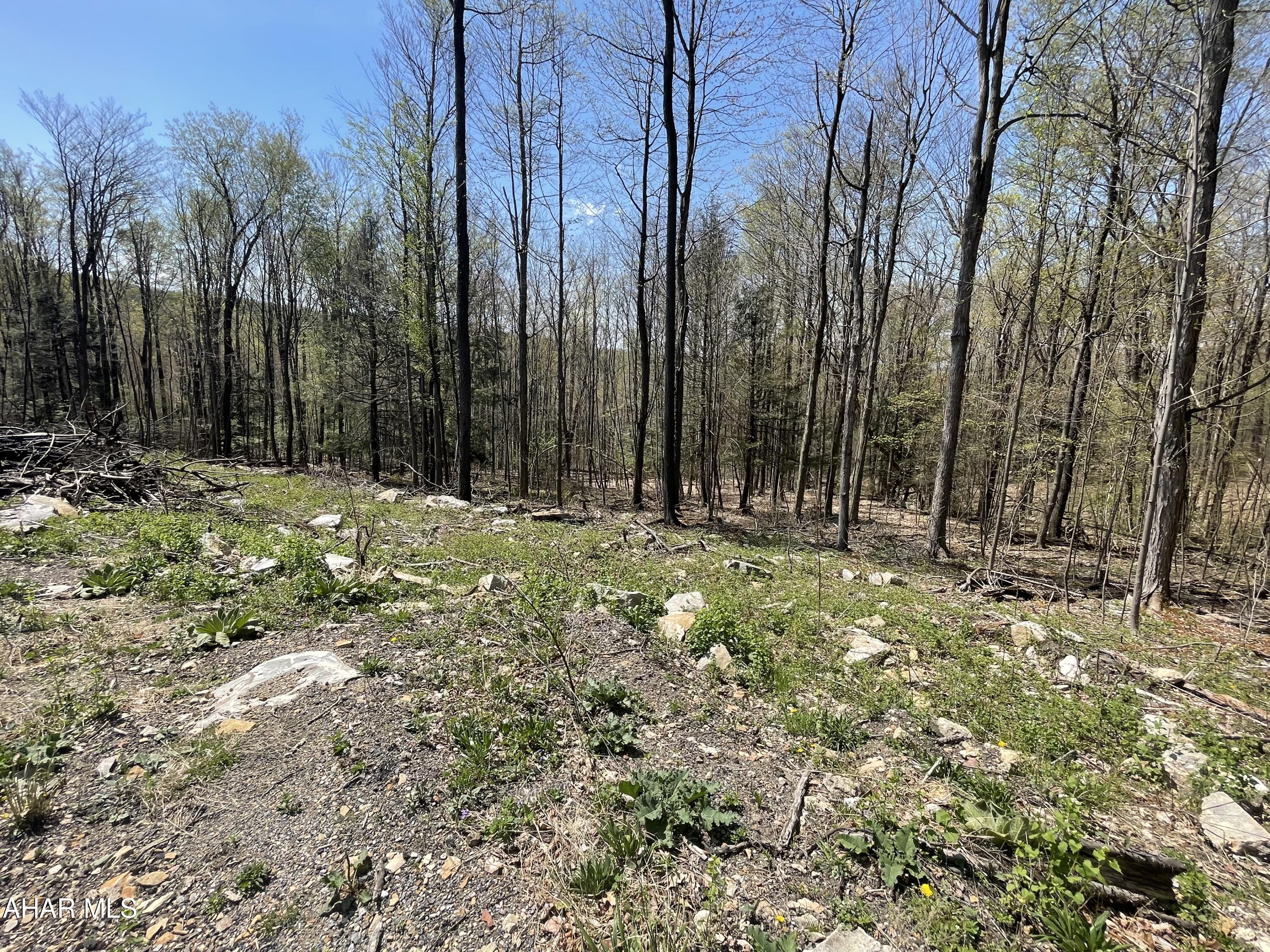 None - Commercial Sale