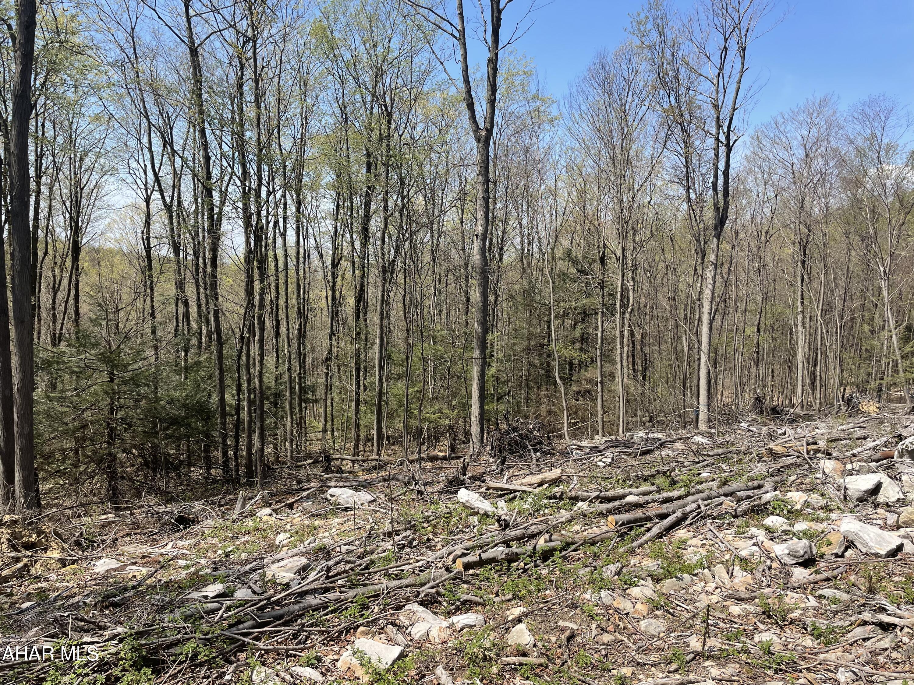 None - Commercial Sale