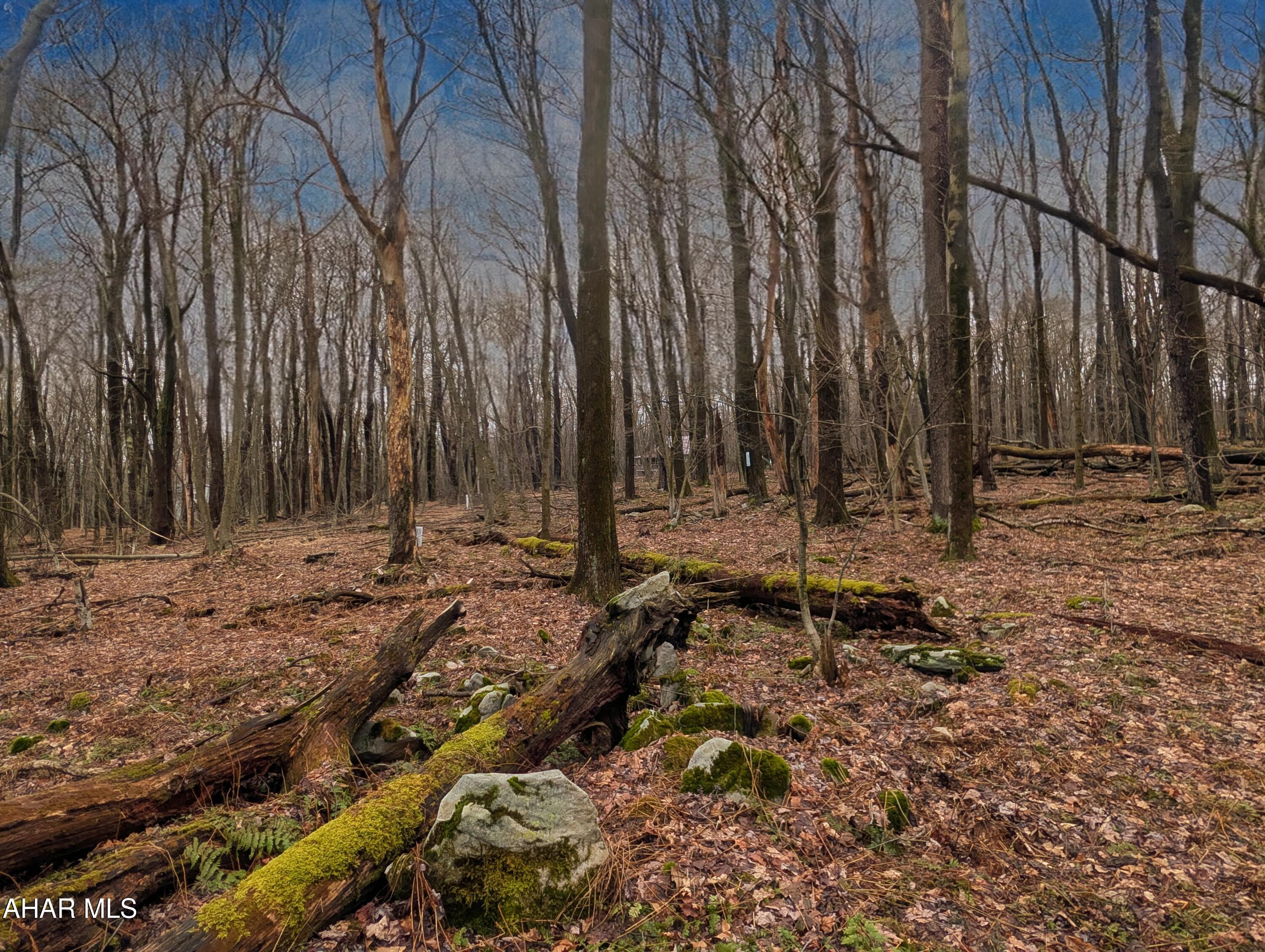 Other - Commercial Sale