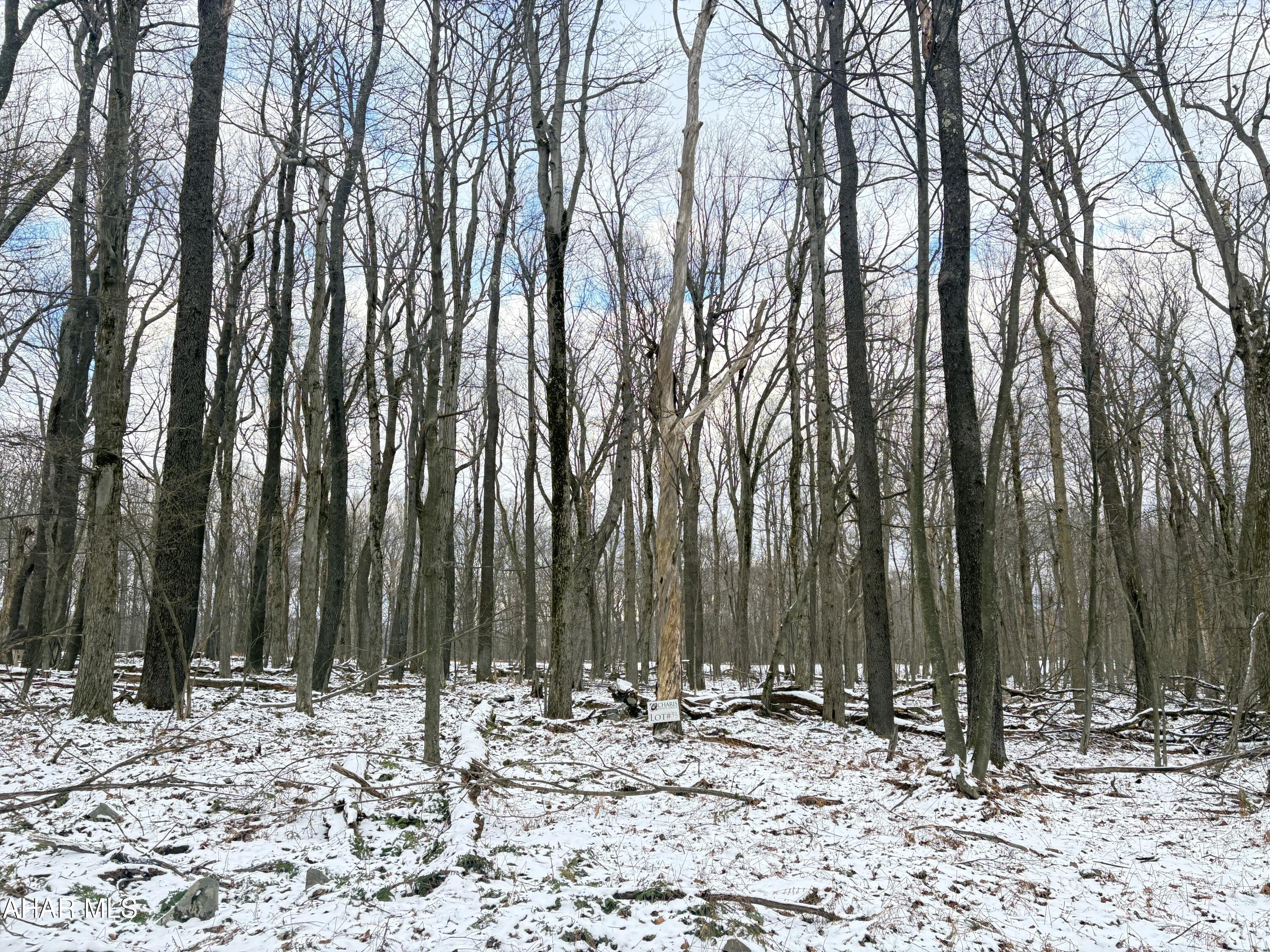 Other - Commercial Sale