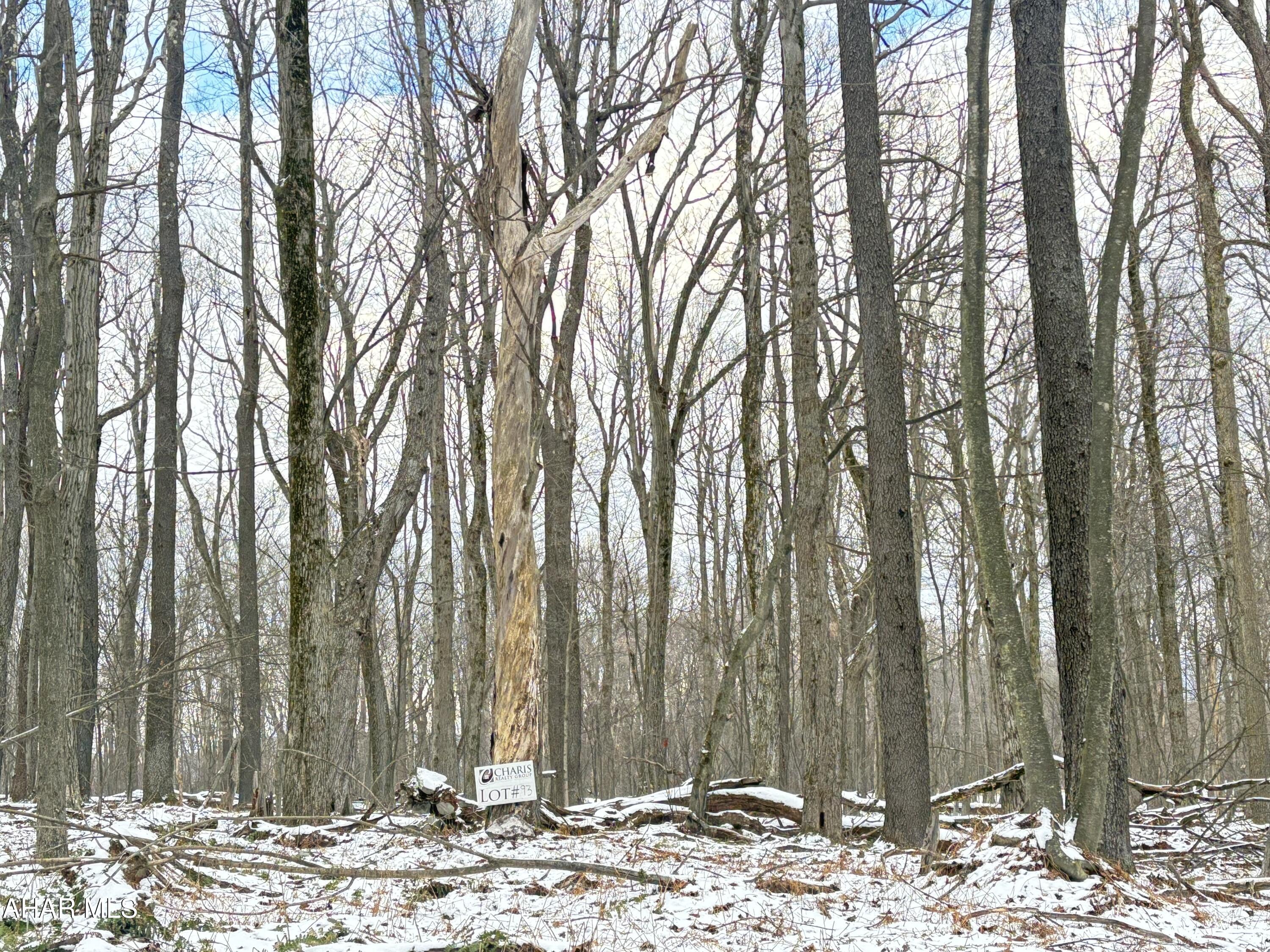 Other - Commercial Sale