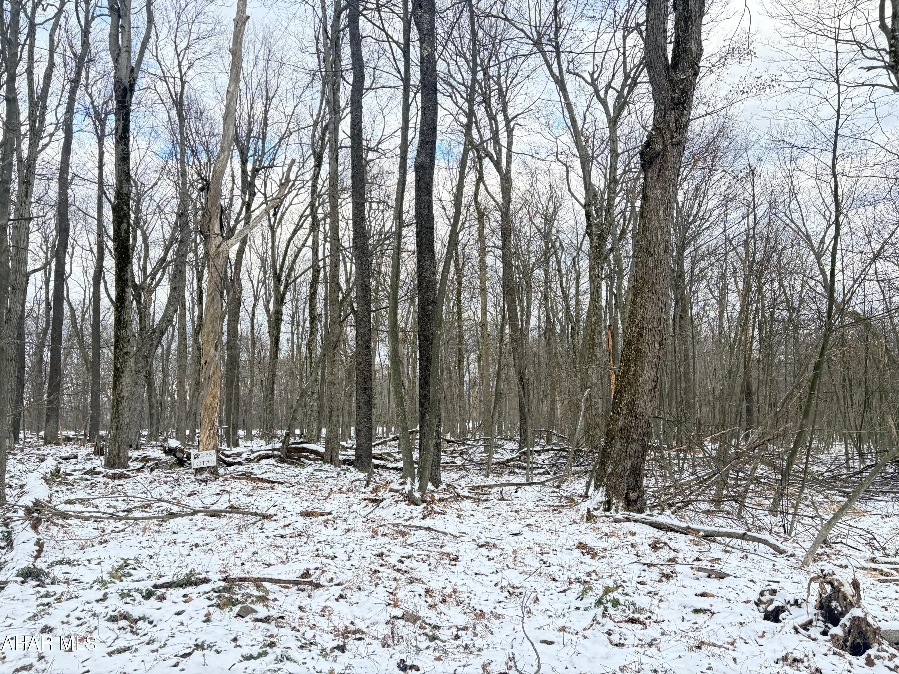 Other - Commercial Sale