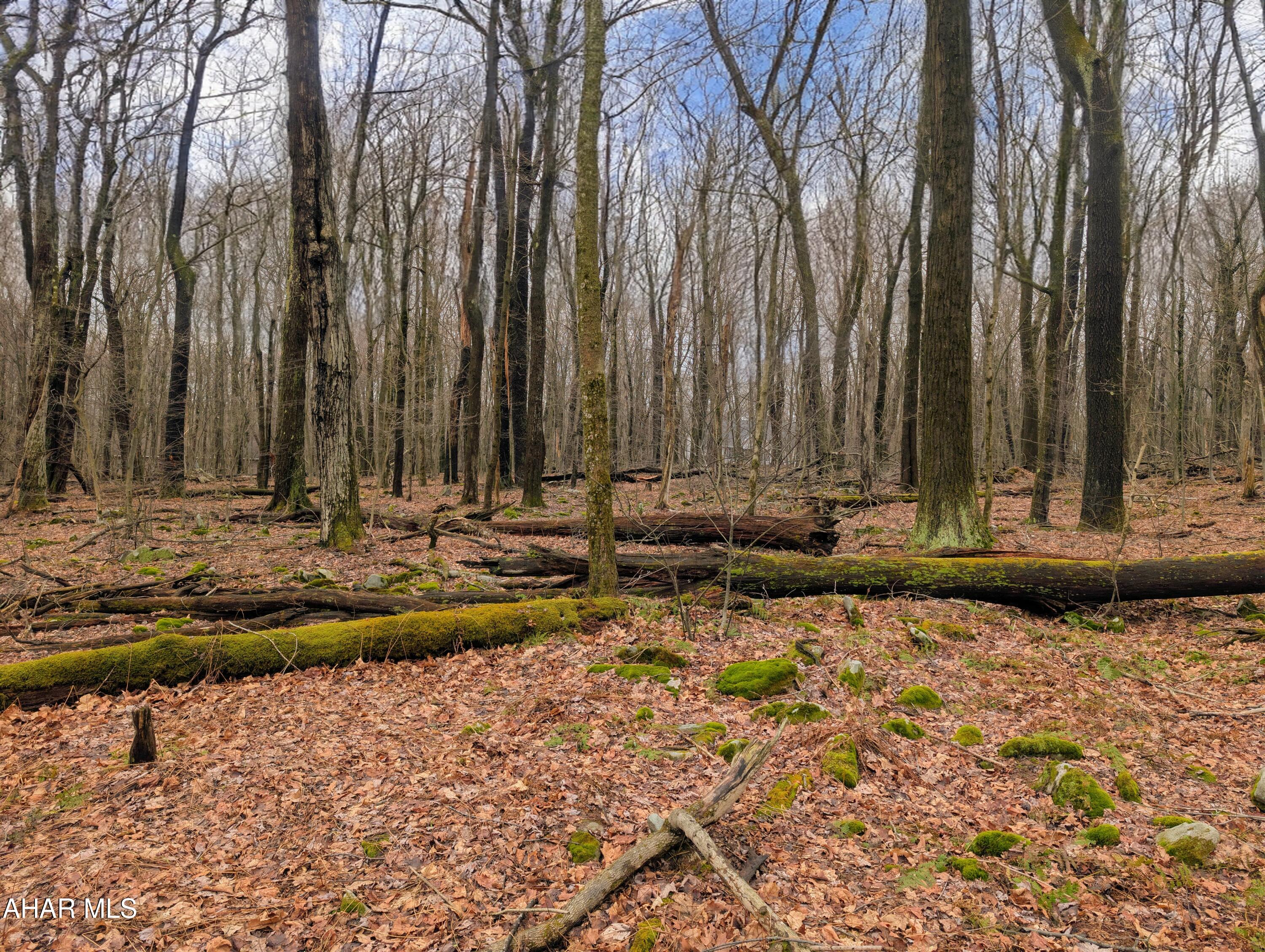 Other - Commercial Sale