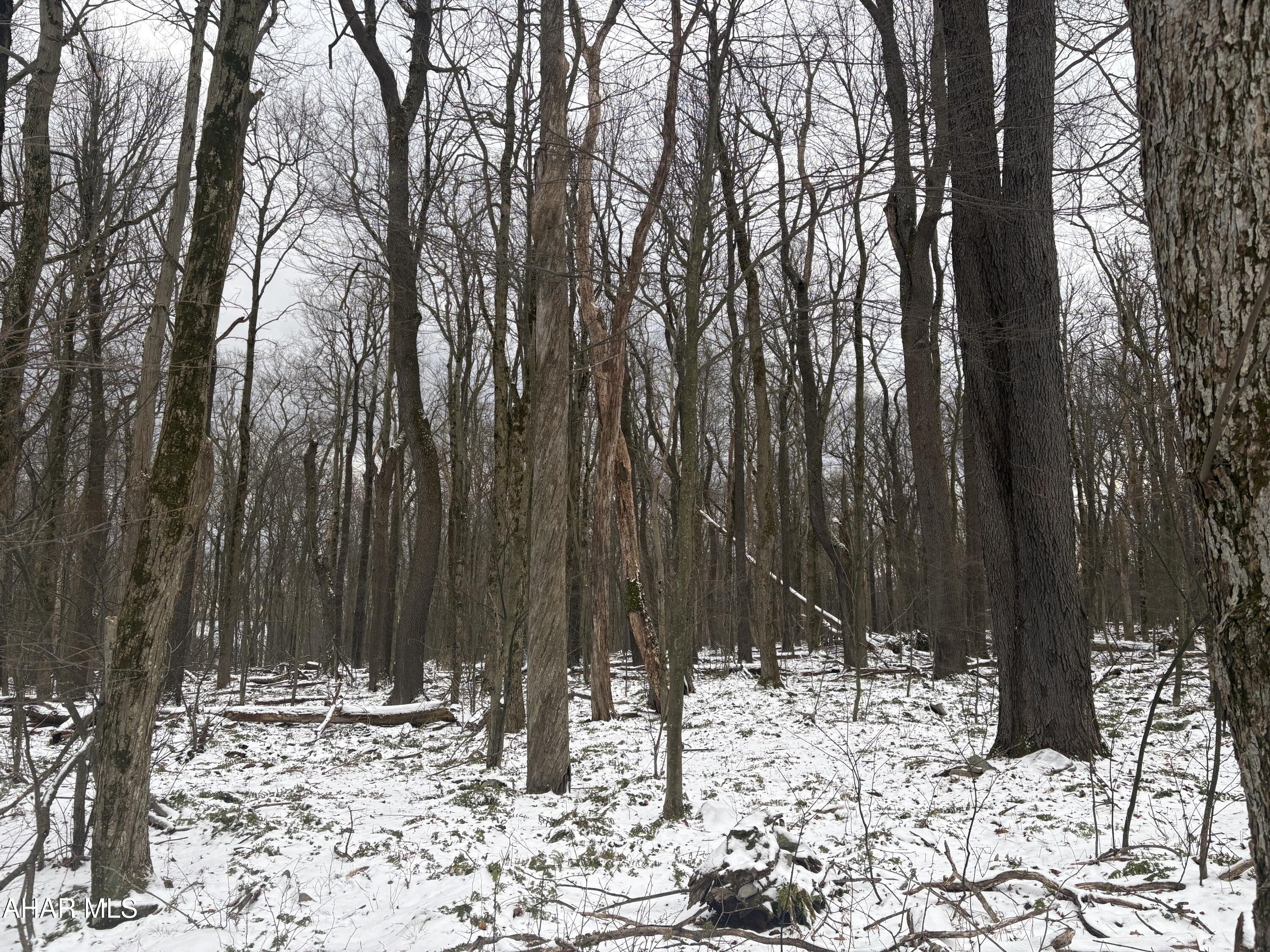 Other - Commercial Sale