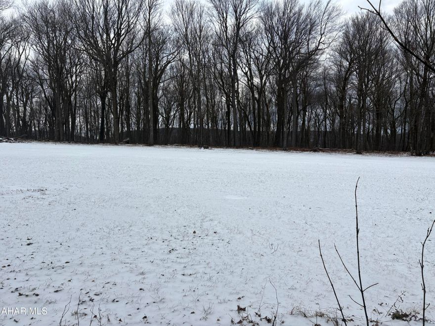 Nice lot on the golf course of blue knob.  Near golf tee 3.  Flat lot with nice ferns, trees, rocks and foliage.  Great building lot.  Public water, sewer and electric.   Private, peaceful area on the mountain.  HOA gives seasonal access to the outdoor pool, tennis courts and other amenities.  Close to the convention center, club house, and slopes.  Easy access to walking trails and so much more.  Don't miss this great lot!