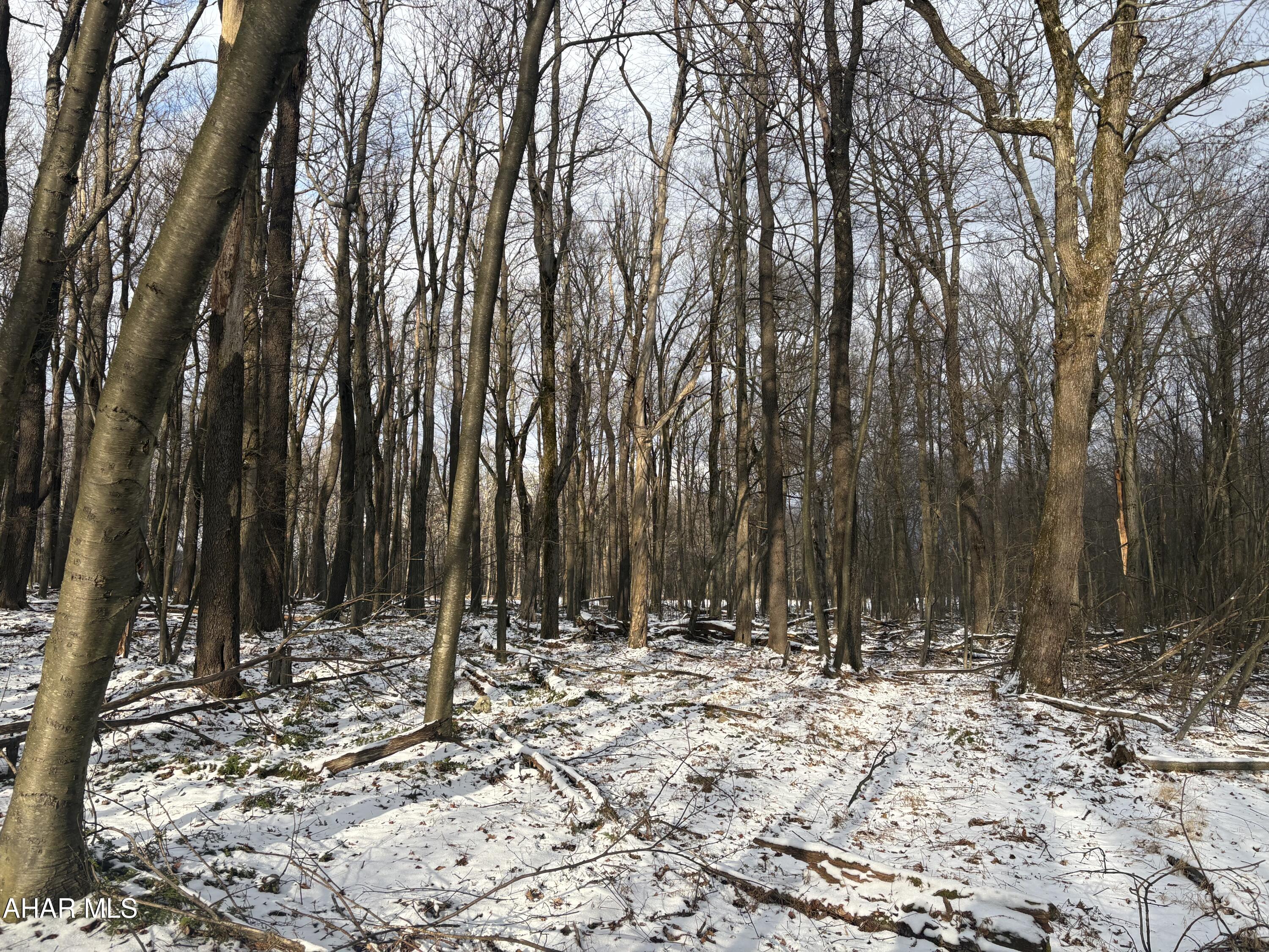 Other - Commercial Sale