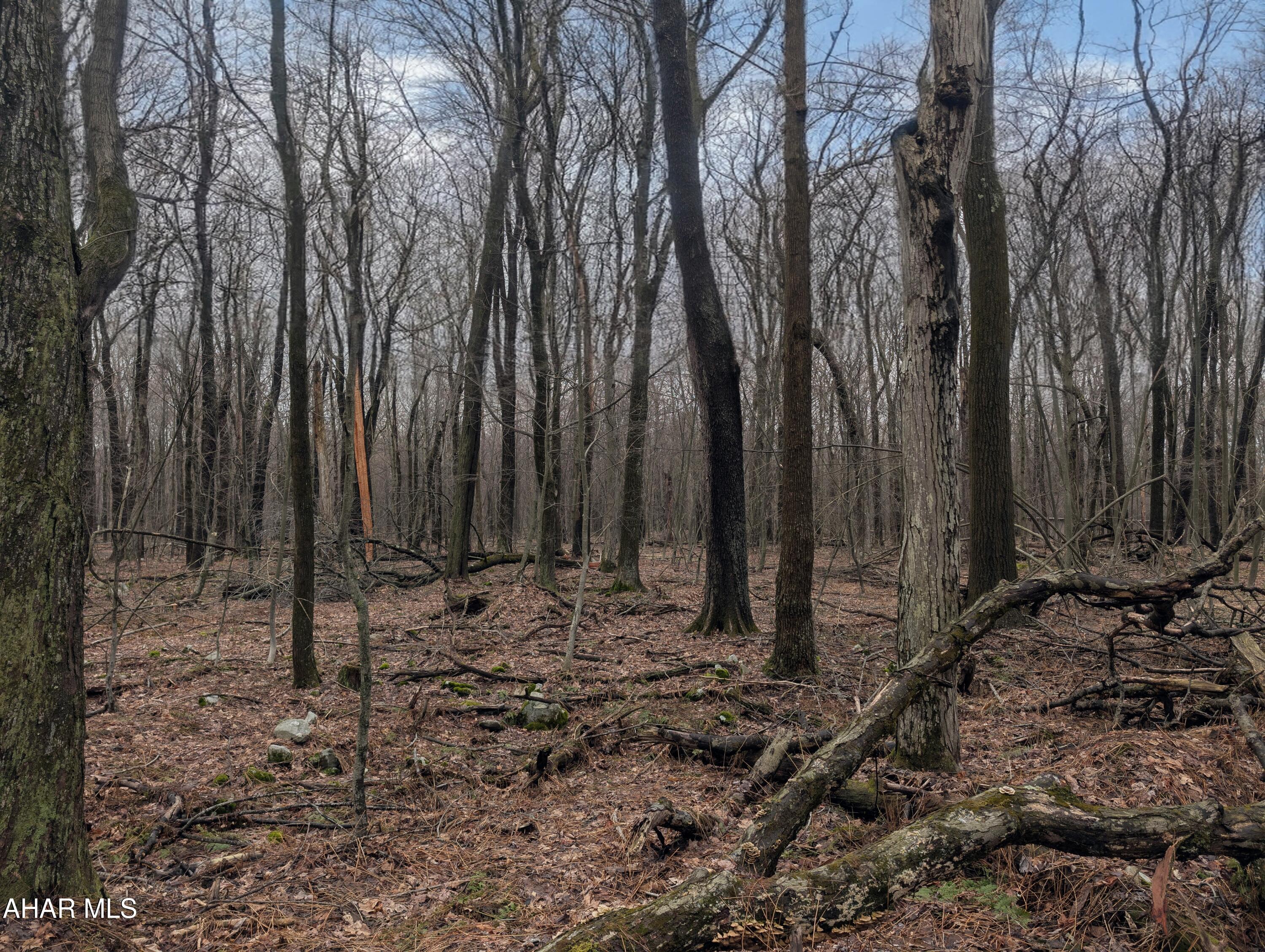 Other - Commercial Sale