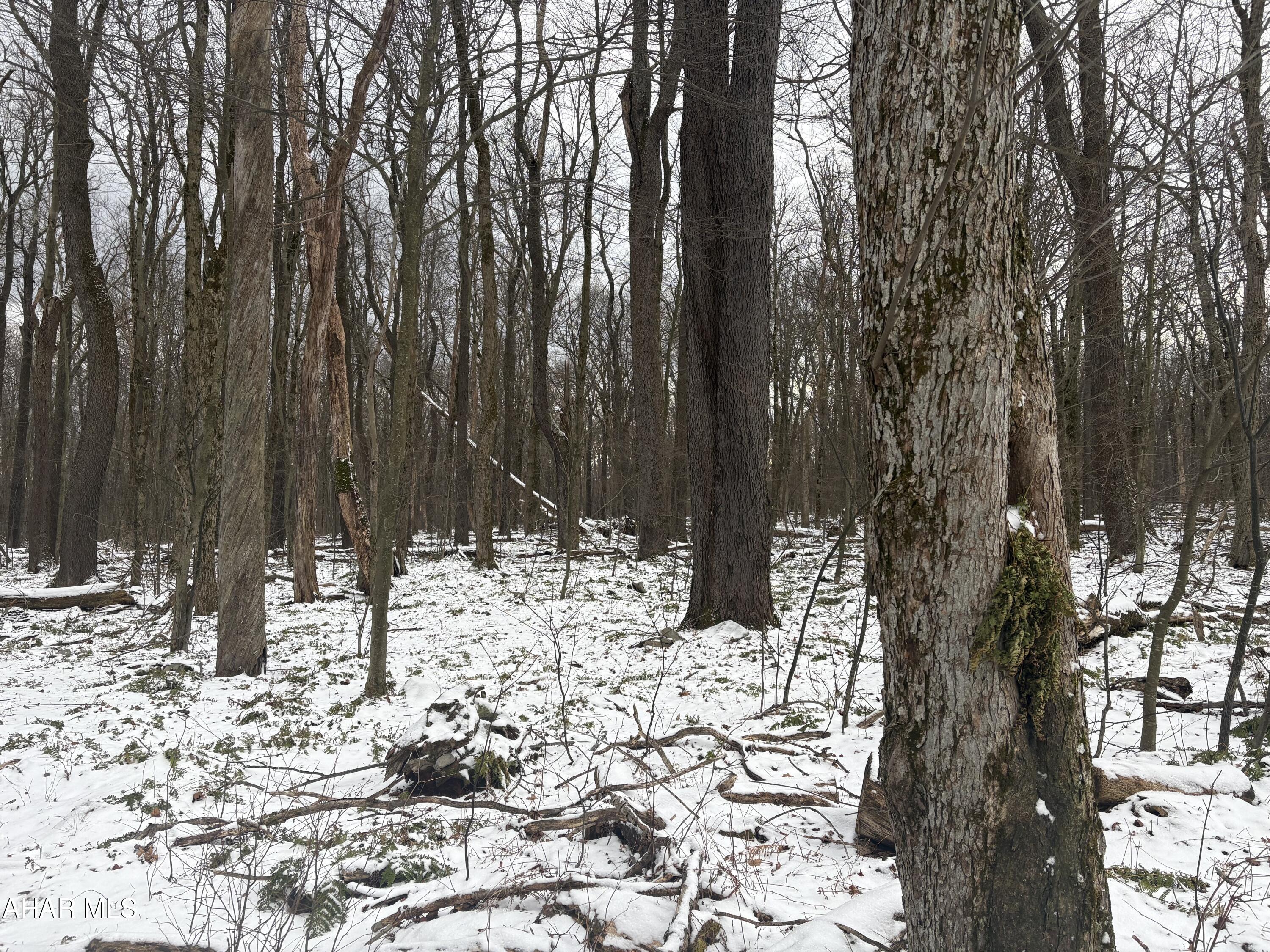 Other - Commercial Sale