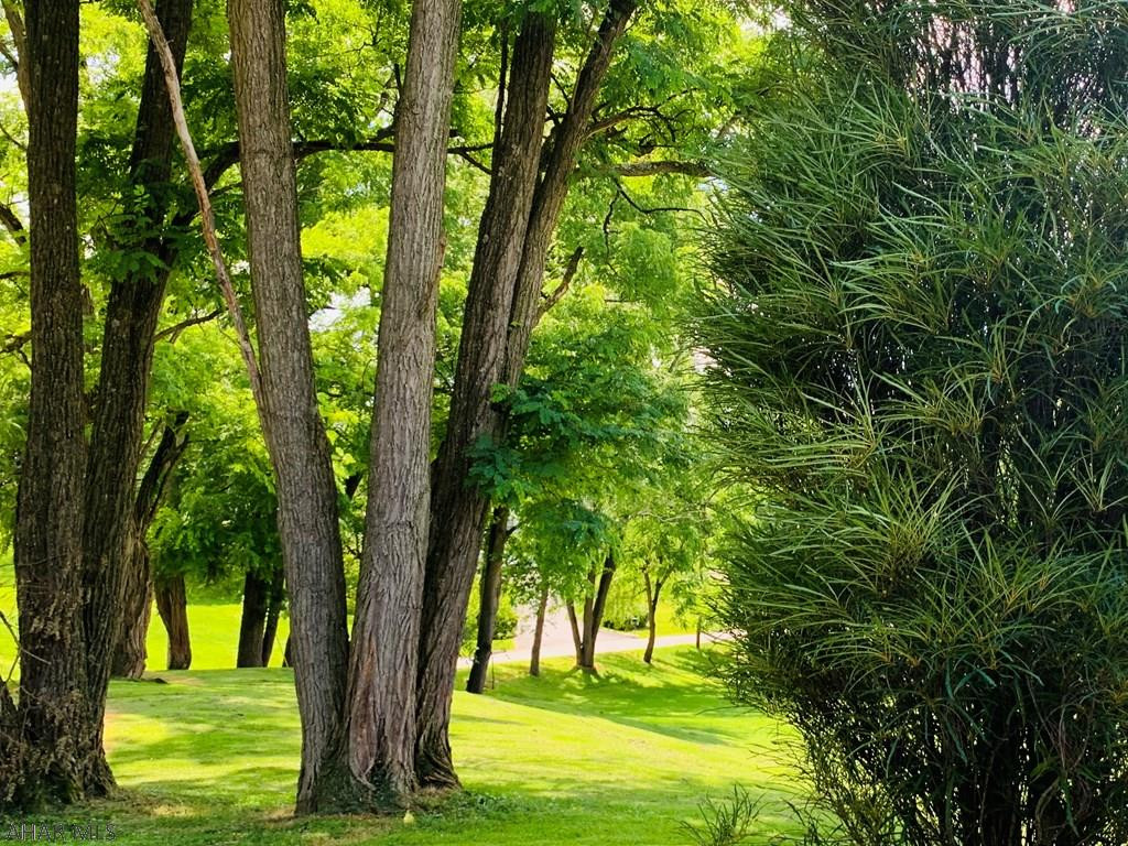 Meadowbrook - Residential