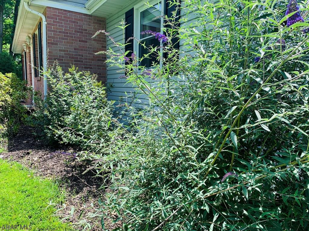 Meadowbrook - Residential