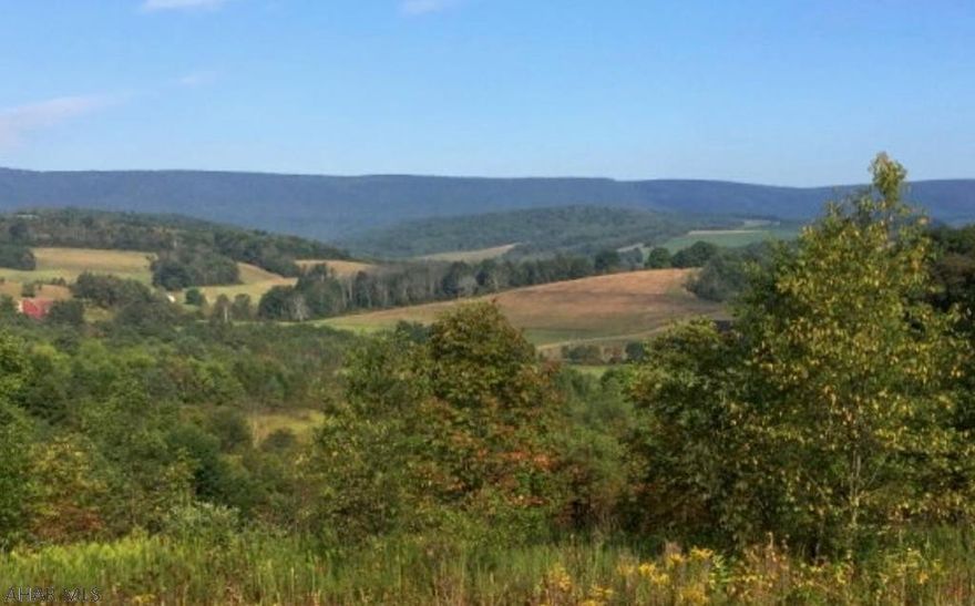 Gorgeous Country setting, nestled in the foothills of the Allegheny Mountains is this prime building site that includes 96 +/- acres.  Breathtaking views are magnificent and one must see them to truly appreciate the value.  Building sites are beautifully located on the property and offer privacy and seclusion.  About 65 acres are tillable while the remainder of the property has some excellent timber value.  Electric is available to the barn that sits on the property.. Two other outbuildings make up the property.  Situated less than 15 miles from Bedford Historic District and the Omni Bedford Springs Resort.