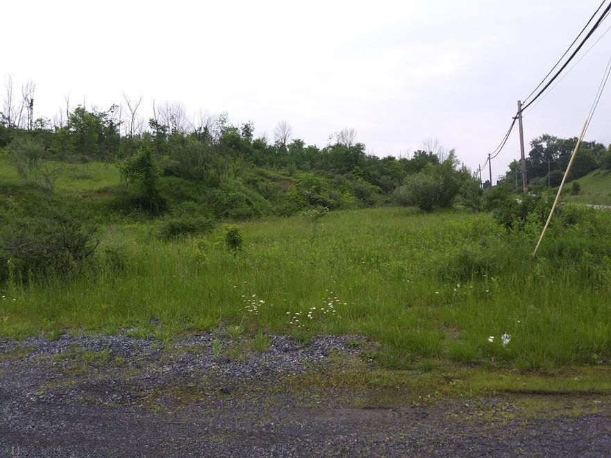 Nice commercial land. Recent survey completed.