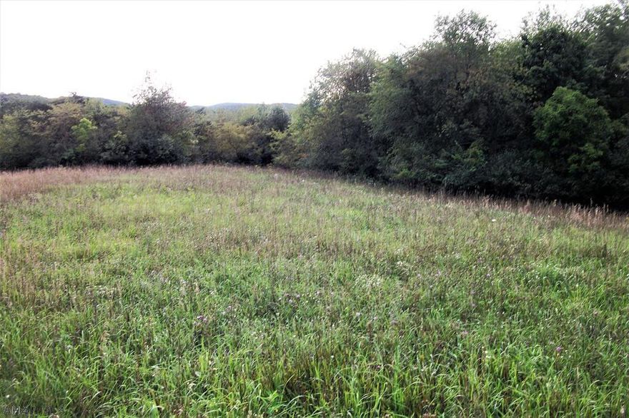 This piece of paradise has 51 acres of open and wooded land with level to rolling topography.  Enjoy great views from this parcel perched on a ridge.  The fields are currently being farmed for hay.  Outdoor enthusiasts will the opportunities this property provides: hiking, biking, ATV riding, nature watching and hunting.  It's a great place to build your dream home or a getaway cabin.