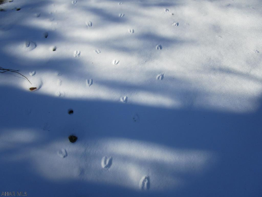 Glendale Yearound - Residential