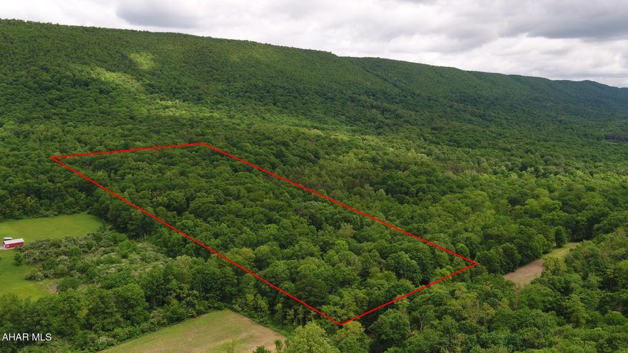 Discover the perfect blend of seclusion and accessibility with this stunning 20.323-acre wooded property located just outside the heart of Bedford, PA. Situated within the serene countryside, this expansive parcel (Parcel ID: F.12-0.00-002- F) offers a rare opportunity to own a sizable piece of nature with unlimited potential.
 
Bordered by beautiful farmland and gently rolling hills, the land is predominantly wooded, providing excellent privacy and a peaceful setting for a variety of uses. Whether you're dreaming of building a secluded estate, developing a recreational retreat, or investing in a timber-rich property, this lot offers the flexibility to bring your vision to life. 

Highlights include: 
* Over 20 acres of mature forest 
* Ideal for custom home builds, cabins,  hunting, or weekend getaways 
* Gently sloped terrain with easy access off local roads 
* Quiet rural setting with nearby farms and residences 
* Convenient location - just minutes to Bedford town center, shopping, dining, and PA Turnpike access 

This parcel offers both beauty and potential, tucked away in a desirable area while remaining close to amenities. Utilities are nearby, and the property is accessed via a well-maintained country road, making it easy to start planning your dream project. 

Don't miss your chance to own this picturesque slice of Pennsylvania! Schedule a visit today and experience the natural beauty for yourself.