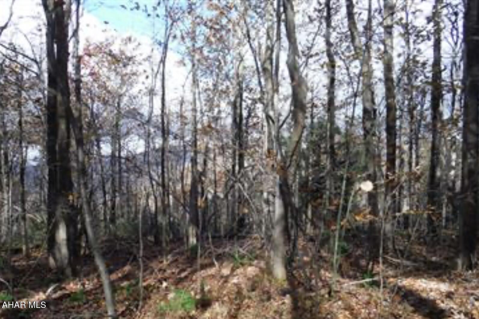 Blue Knob - Commercial Sale