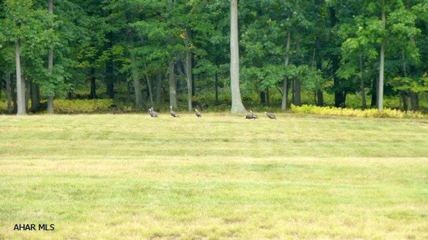 HUNTERS! 38+ ACRES ADJOINING 16,000 ACRES OF STATE GAME LANDS!! Exceptional property with incredible views of Central Pennsylvania!  Centrally located between State College and Altoona, just minutes from I-99!