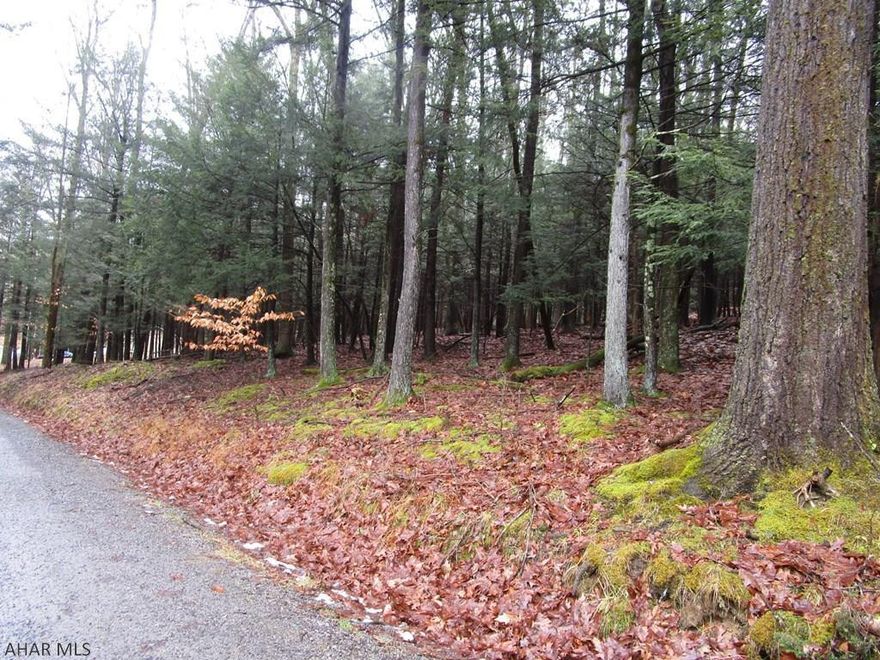 Nice wooded home site that you can access from Red Oak Road or Forest Brook Road.  Lot has frontage on both sides.  City water / sewer and electricity are at the road.  Located in Glendale Yearound, a gated community adjacent to Prince Gallitzin State Park / Glendale Lake.