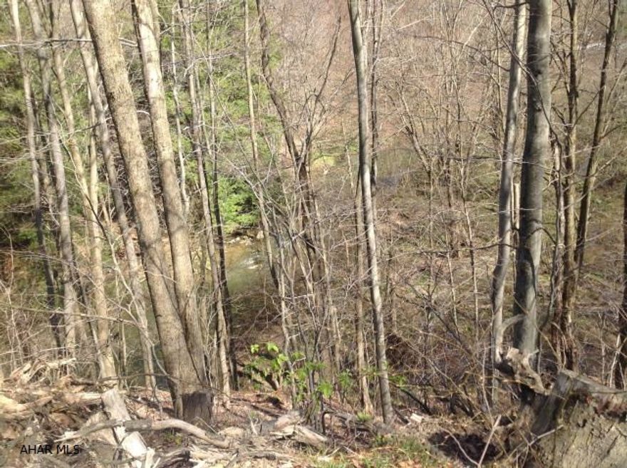 Great spot for recreational activities- stream with fishing and hunting.