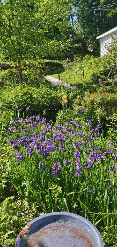 Pleasant Valley - Residential