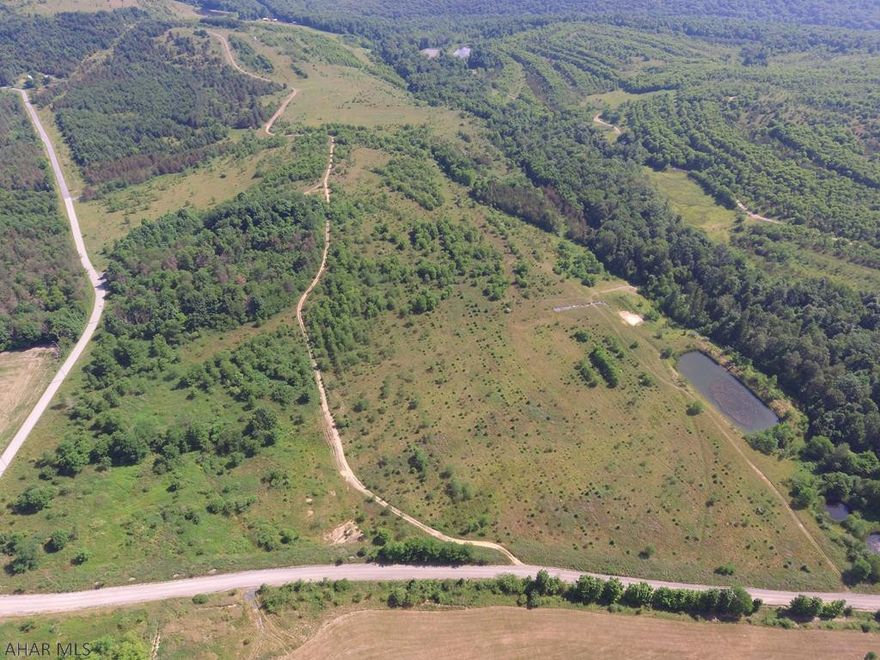 20.68 +/- Acres located in the Laurel Highlands. Property offers beautiful views of the Mountains and has multiple ponds with road frontage on two roads. Located not far from State Game Lands and Indian Lake.