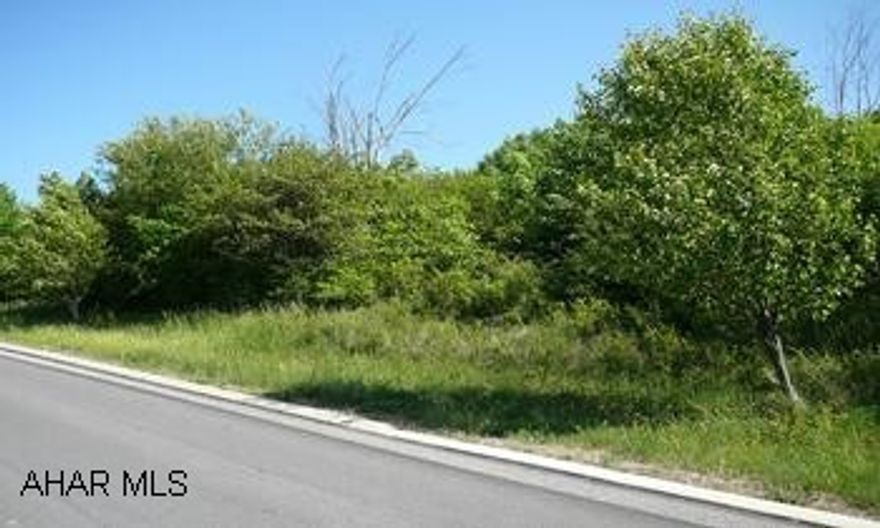 PRIME LOCATION FOR RESIDENTIAL OR COMMERCIAL DEVELOPMENT.  PUBLIC WATER AND SEWER, GAS, ELECTRIC AVAILABLE. ALLEGHENY TWP.