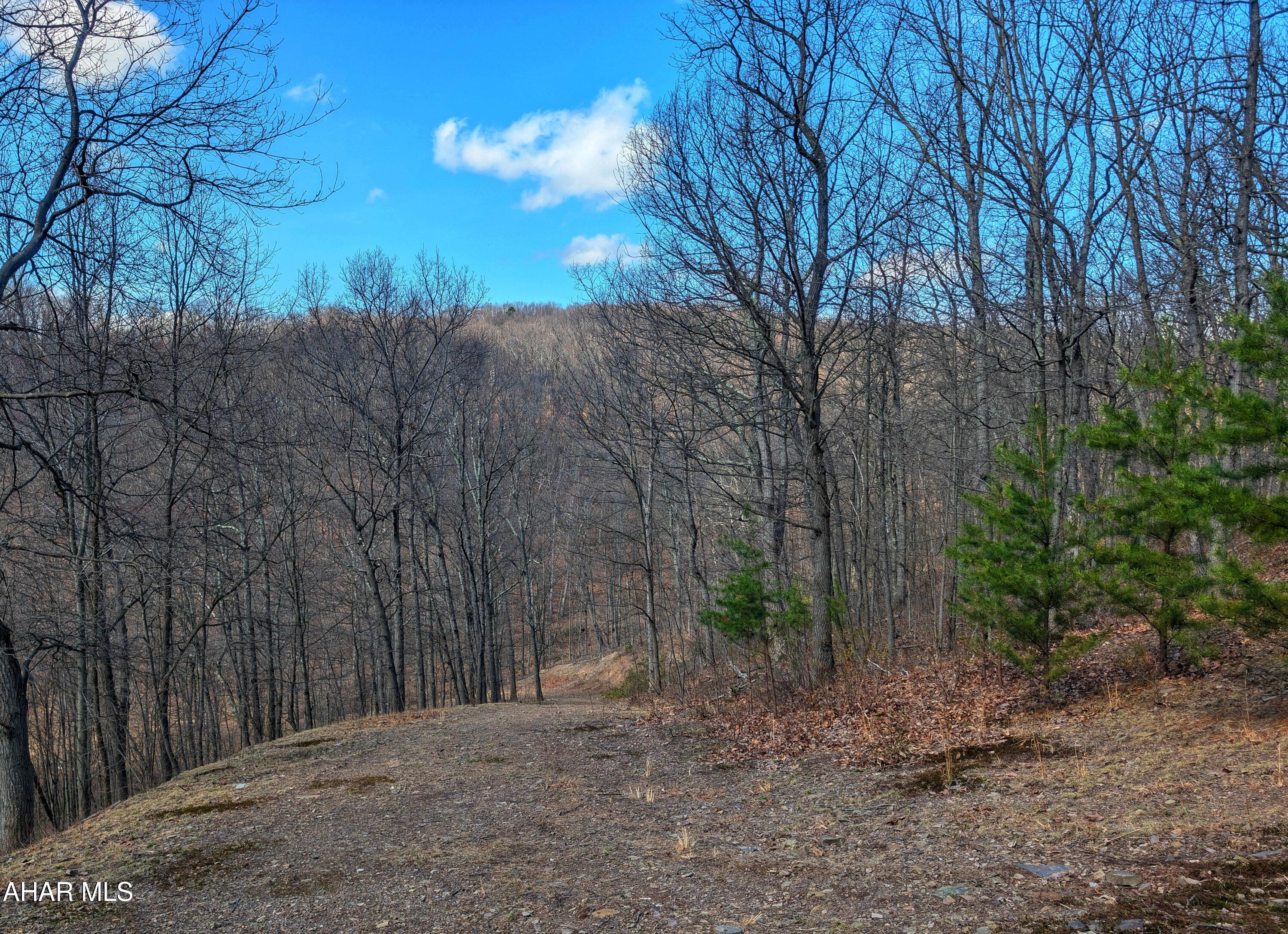 None - Commercial Sale