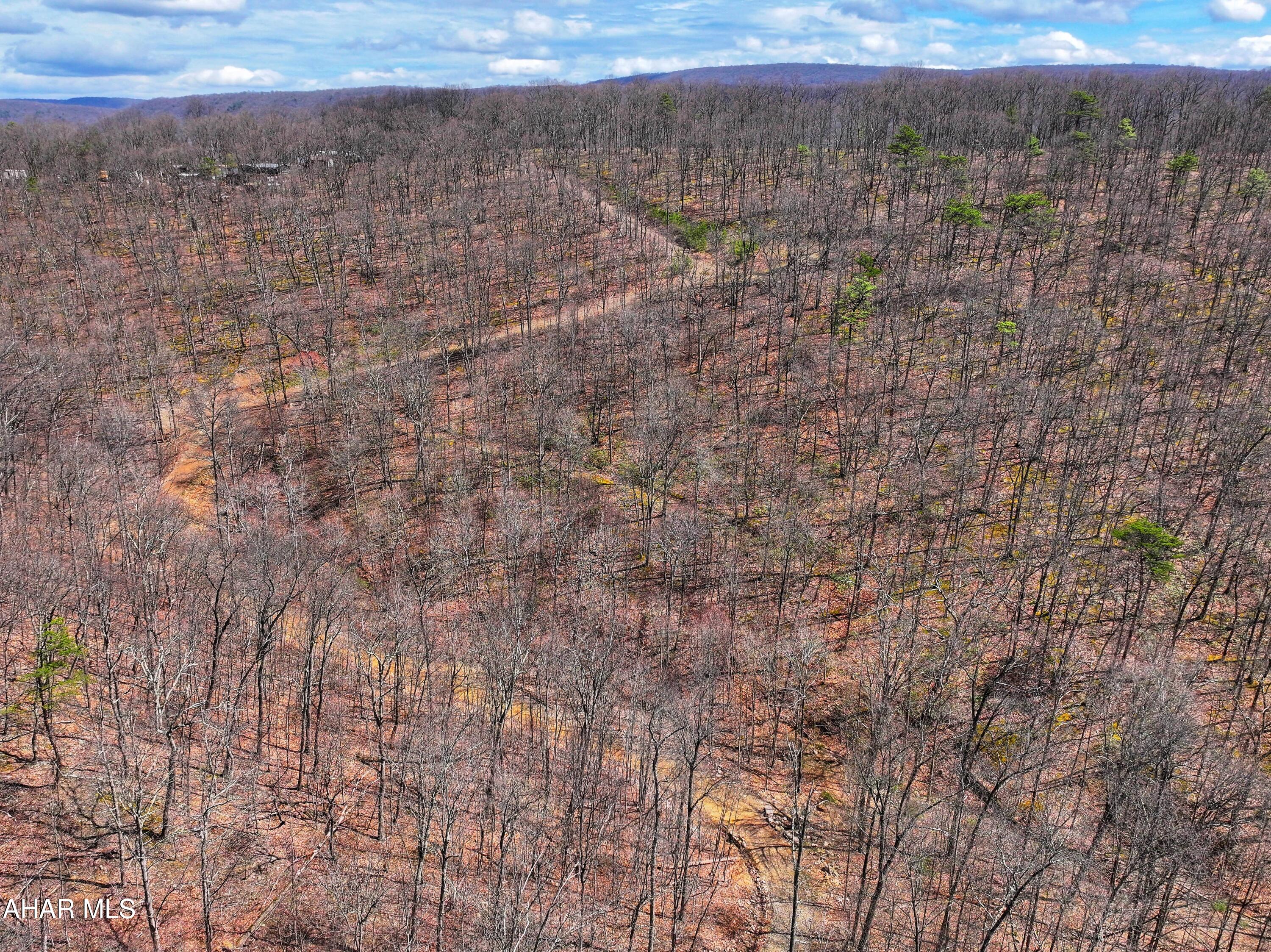 None - Commercial Sale