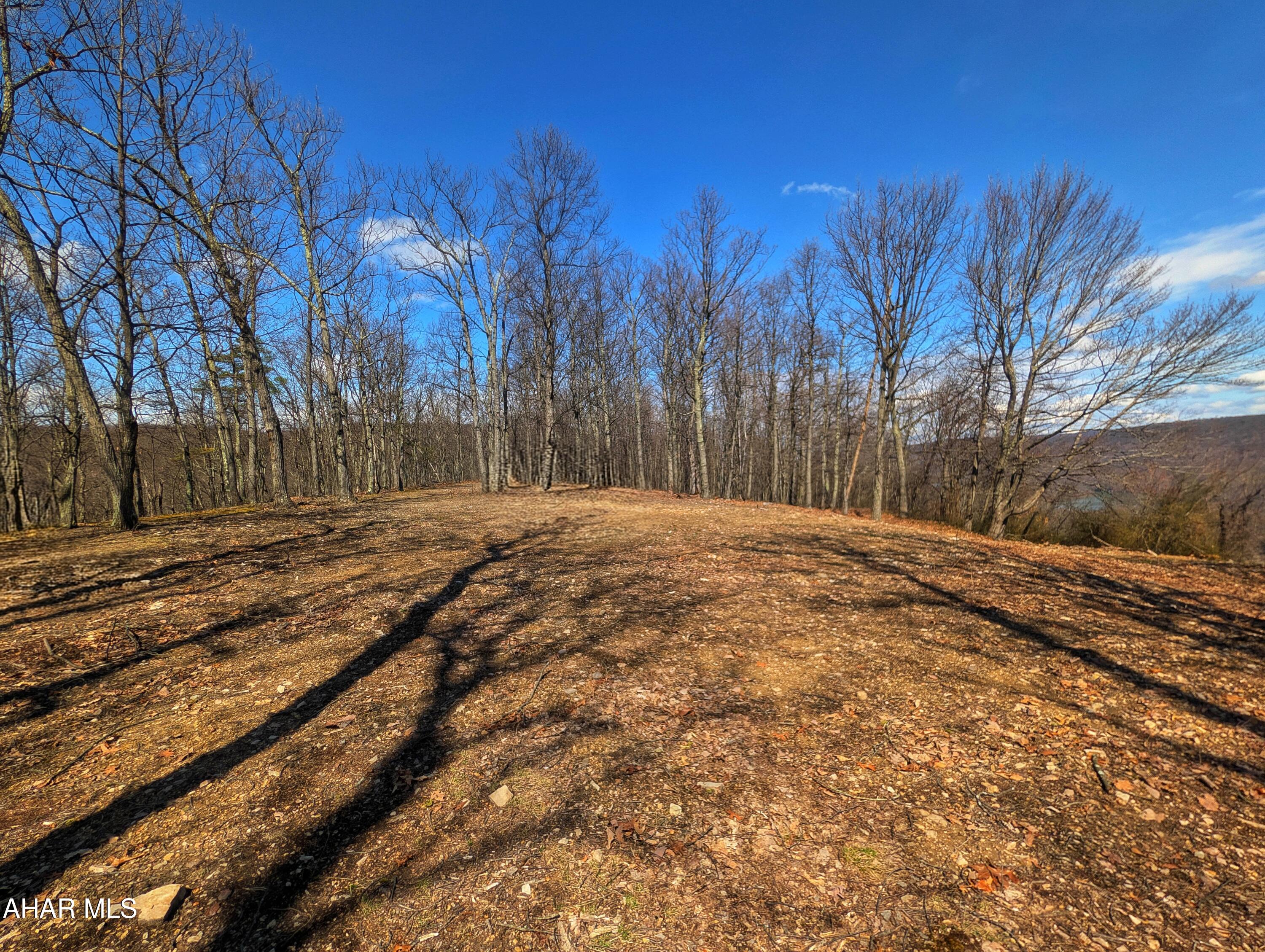 None - Commercial Sale