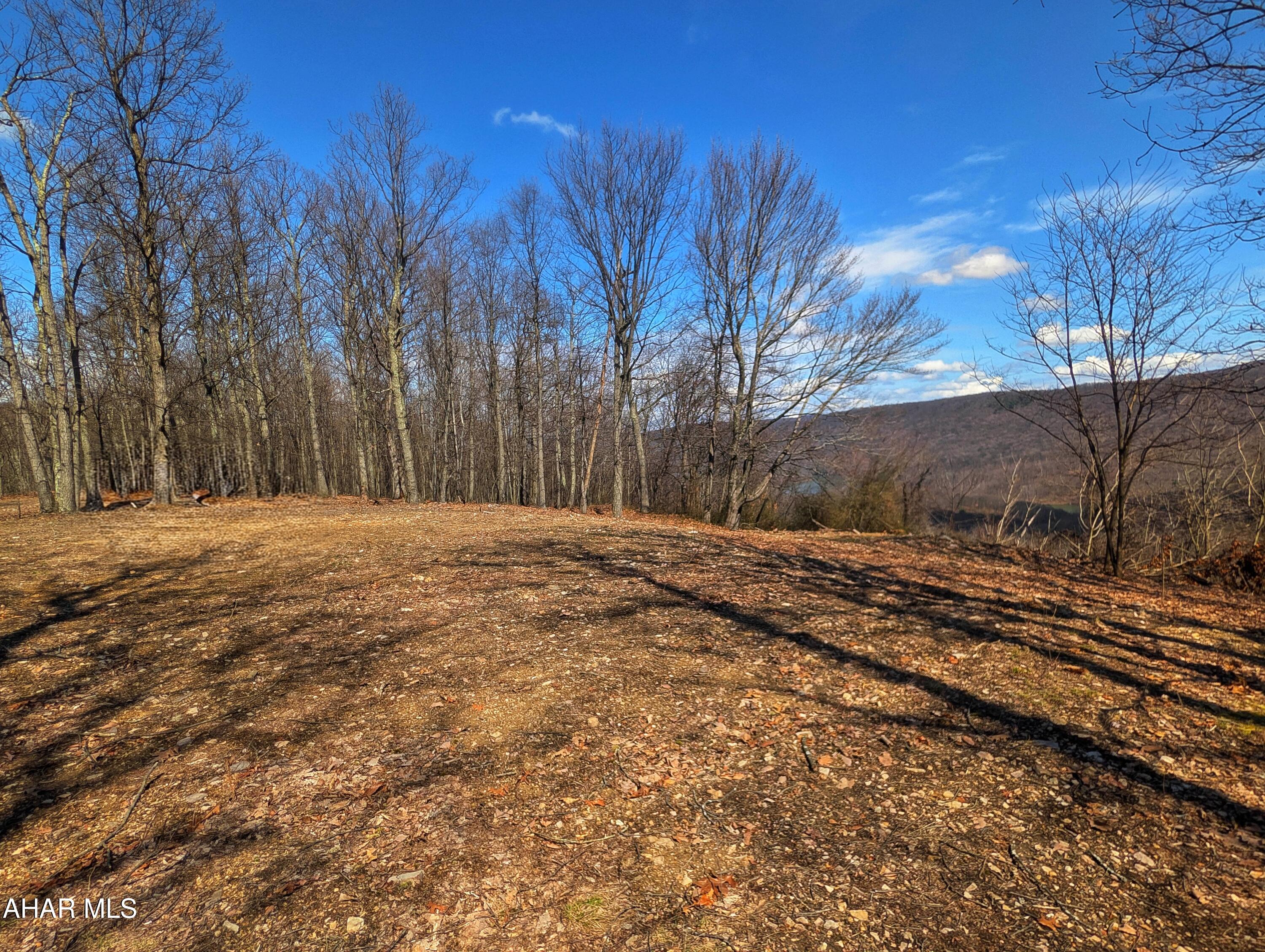 None - Commercial Sale