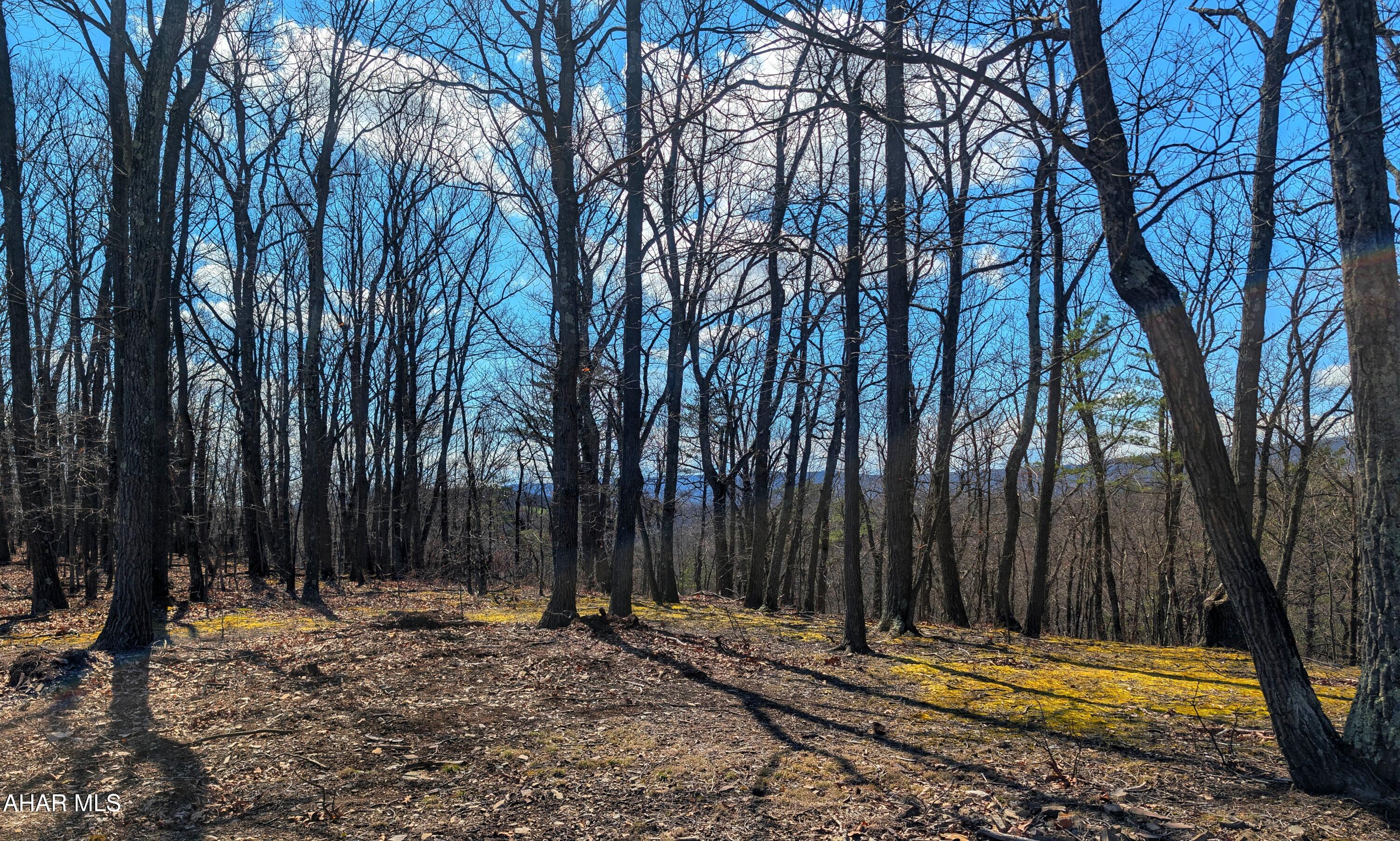 None - Commercial Sale