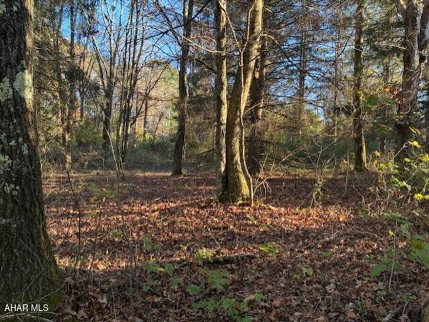 This rural wooded  1.400 acre lot is in a private community. The lot is of variable terrain,  a flat area by the road  and sloping in the back.  Located a short distance from Seven Springs Ski Resort. The community does have a shared community well.