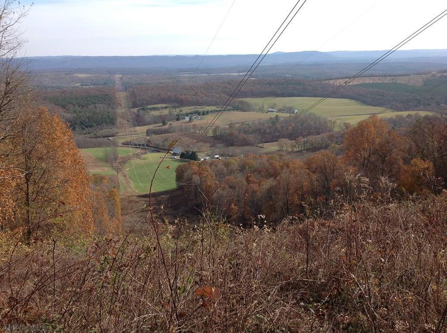 Mountain Hunting ground with mature timber and borders state game lands.  This property will come with a easement for access.  Property is 20 minutes from Breezewood, PA