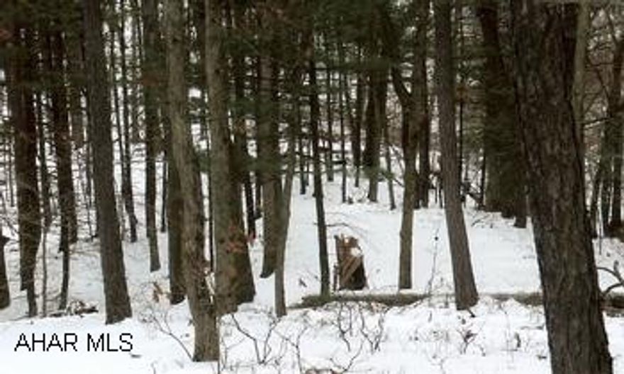 53.019 acres of prime hunting land. Plenty of deer, turkey, bear. All wooded with good road. The property has been select cut for good forest care. Cabin on property is Esh Barn that was wired, insulated and generator and can be purchased seperately or will be removed. Hyndman school.