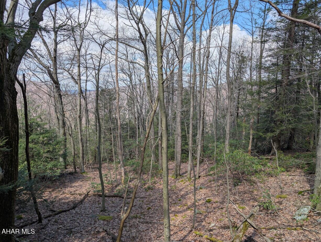 Blue Knob - Commercial Sale