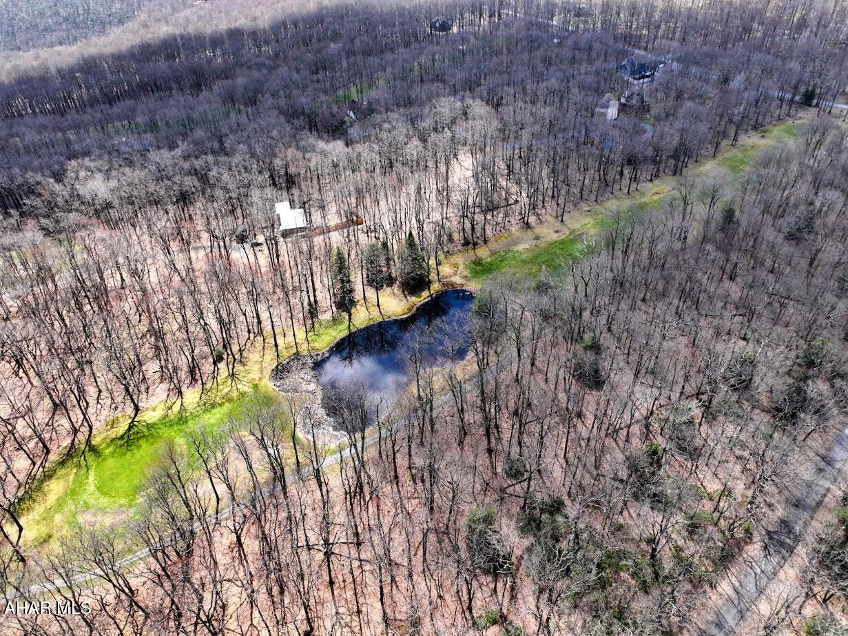 Blue Knob - Commercial Sale